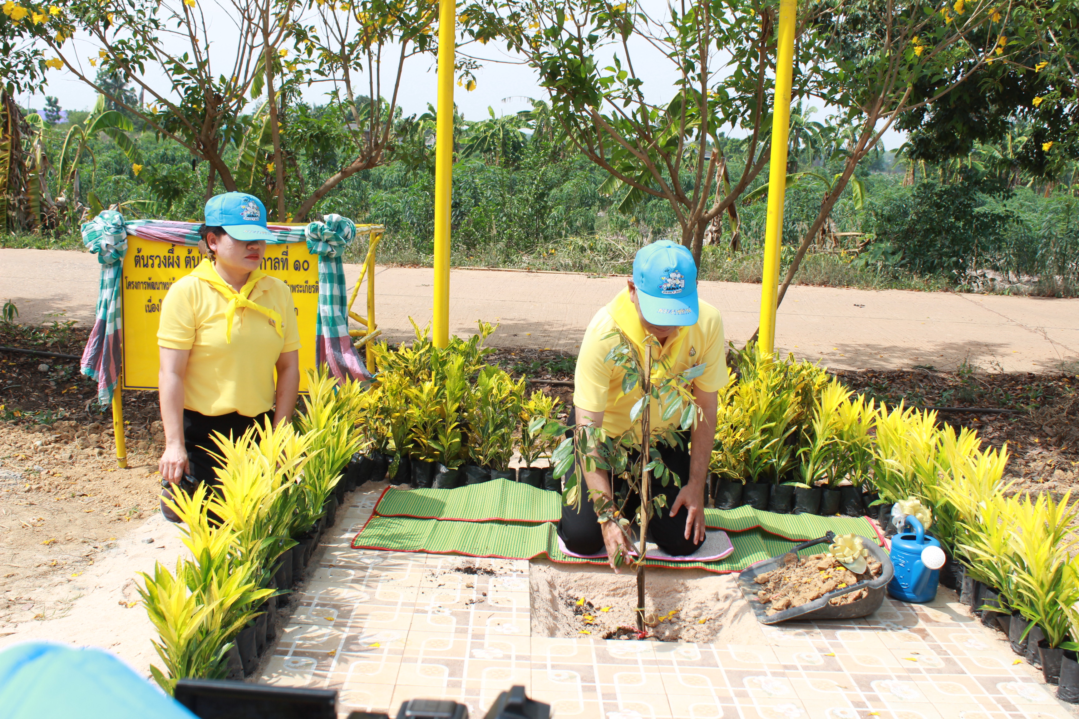 @แปดริ้ว:Kick off หมู่บ้านเศรษฐกิจพอเพียงเฉลิมพระเกียรติฯ”มั่นคง มั่งคั่ง ยั่งยืน”