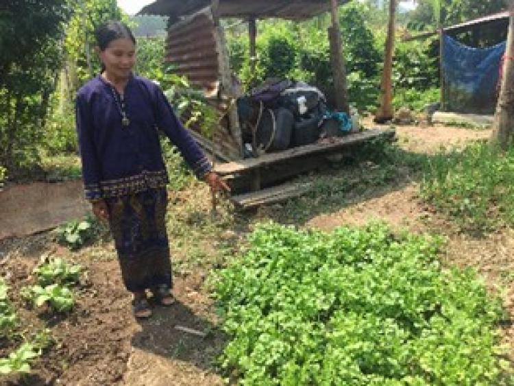 พัฒนาการจังหวัดฉะเชิงเทรา ฝ่าวิกฤตโควิด-19 แนะปลูกผักกินเอง