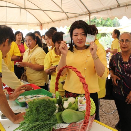 พัฒนาการจังหวัดฉะเชิงเทรา ฝ่าวิกฤตโควิด-19 แนะปลูกผักกินเอง
