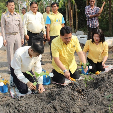 พัฒนาการจังหวัดฉะเชิงเทรา ฝ่าวิกฤตโควิด-19 แนะปลูกผักกินเอง