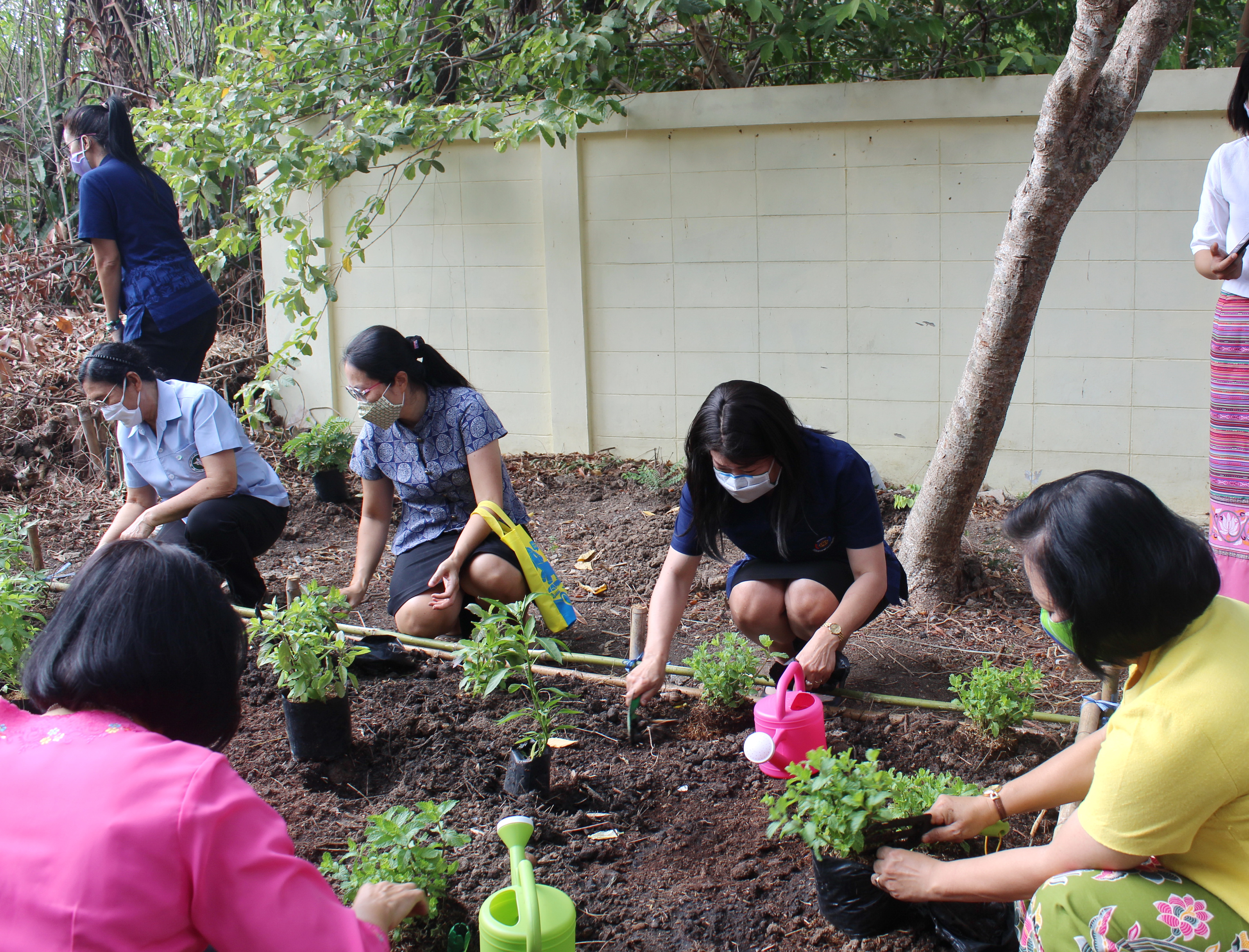 แปดริ้ว Kick Off พร้อมกันทั้งจังหวัดปลูกผัก สู้วิกฤต COVID – 19