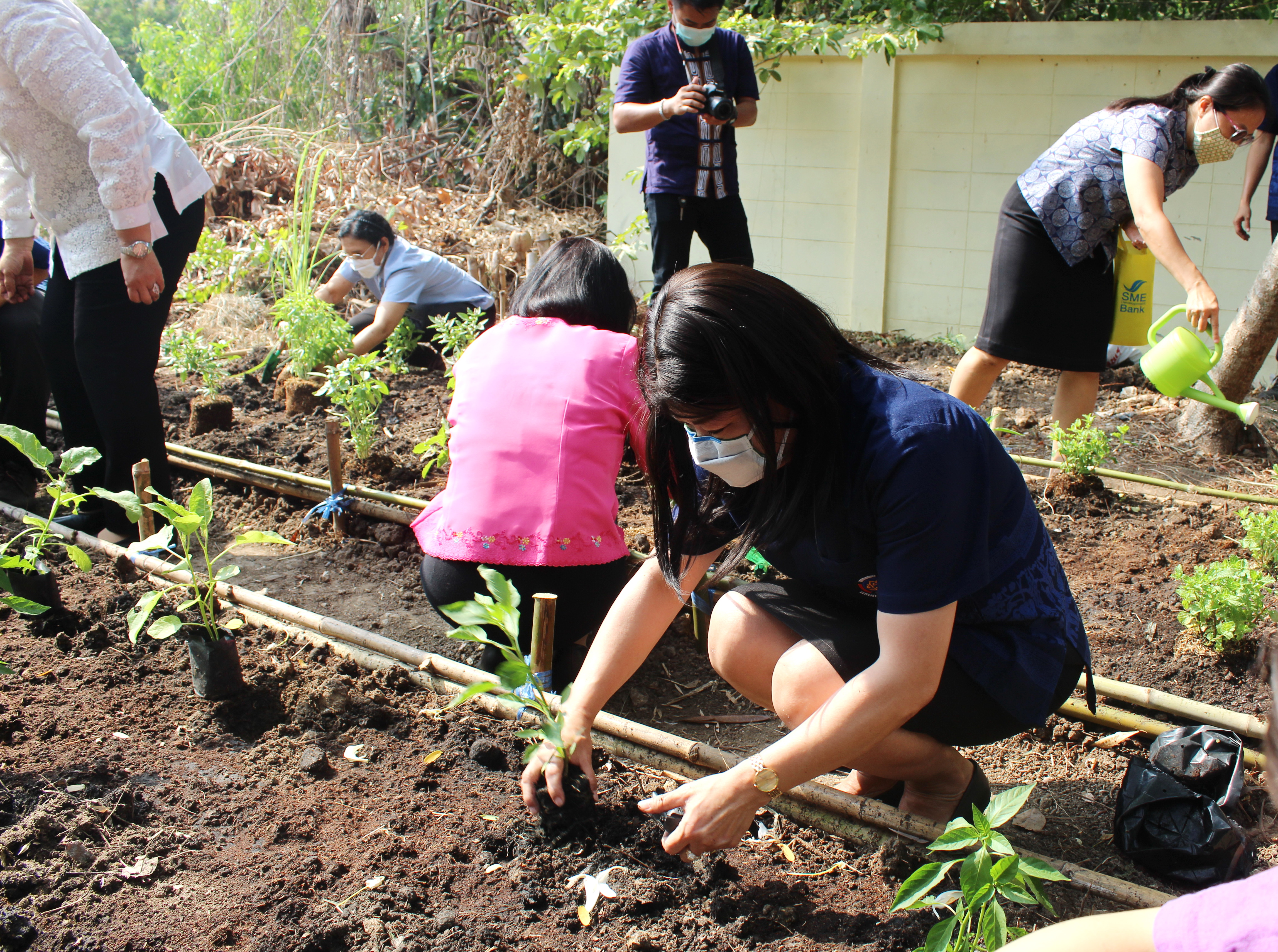 แปดริ้ว Kick Off พร้อมกันทั้งจังหวัดปลูกผัก สู้วิกฤต COVID – 19