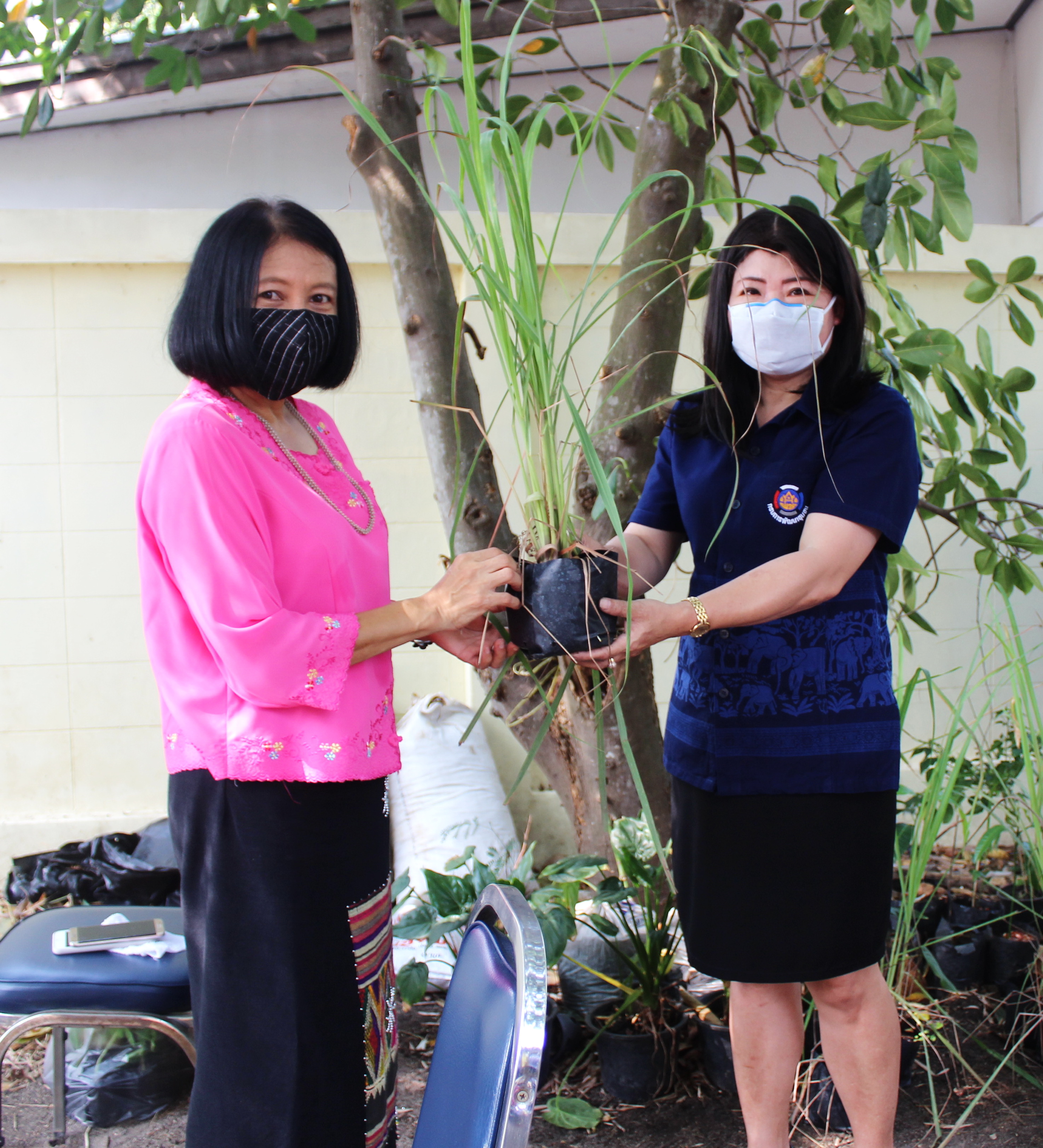 แปดริ้ว Kick Off พร้อมกันทั้งจังหวัดปลูกผัก สู้วิกฤต COVID – 19