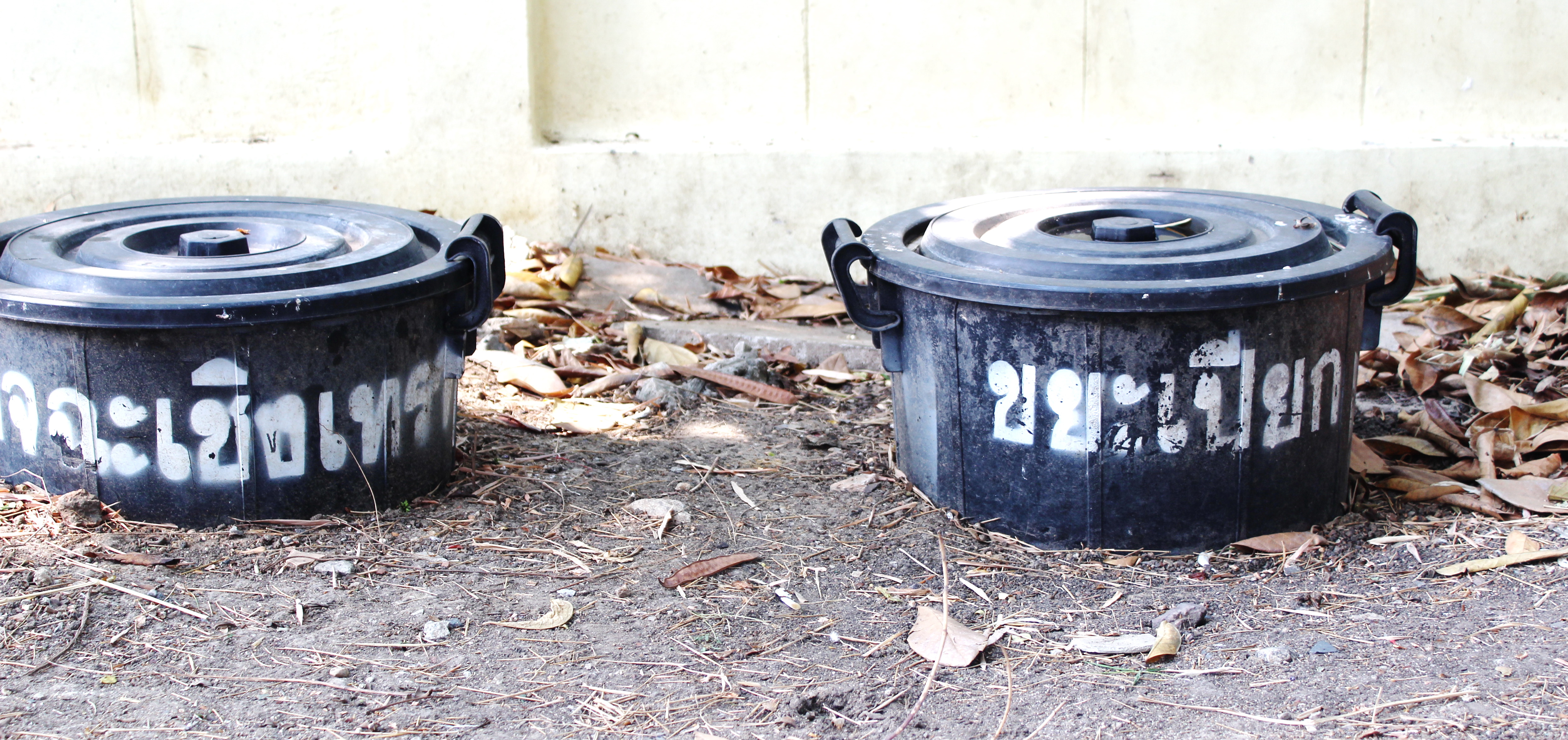 แปดริ้ว Kick Off พร้อมกันทั้งจังหวัดปลูกผัก สู้วิกฤต COVID – 19