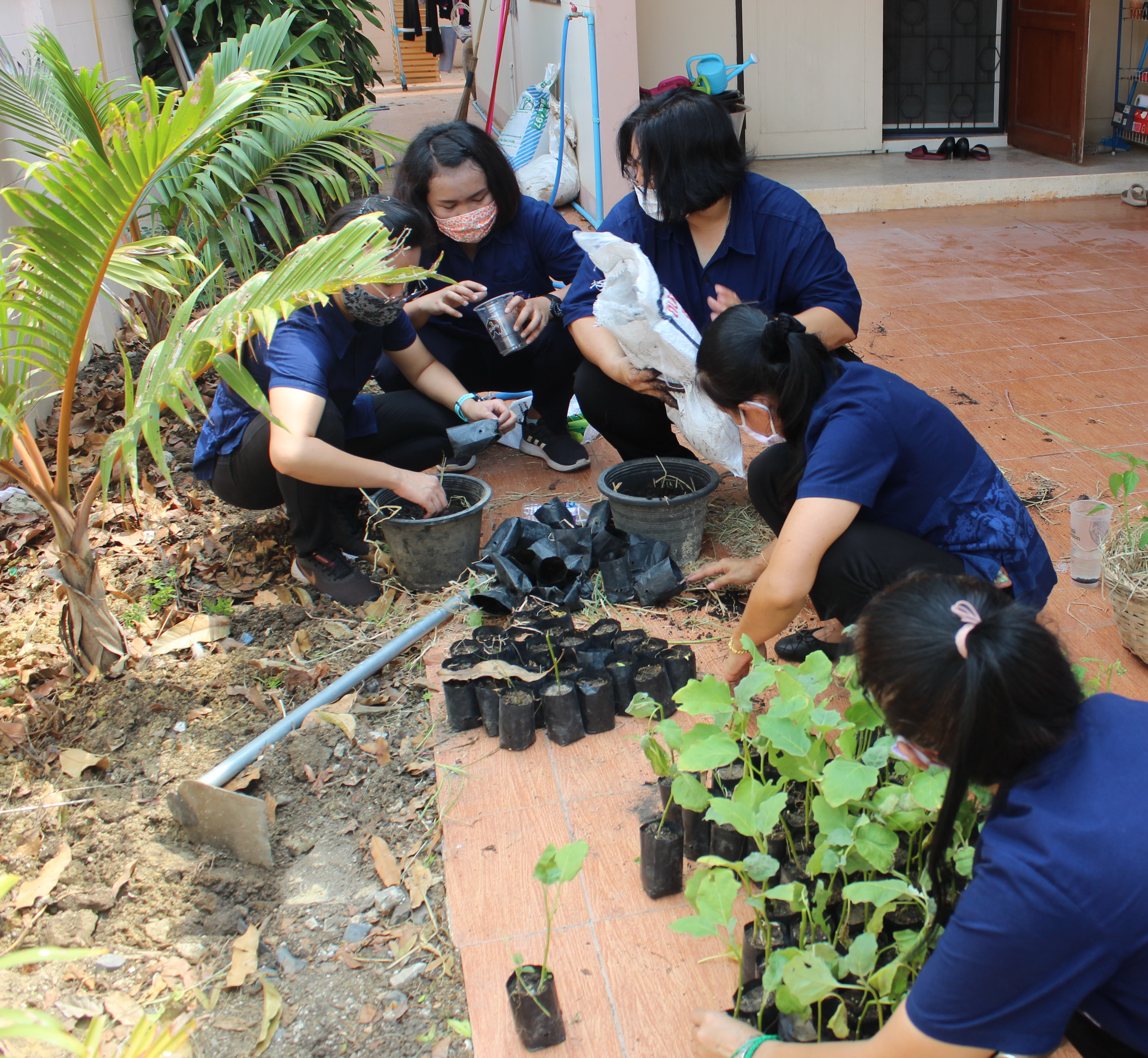 แปดริ้ว Kick Off พร้อมกันทั้งจังหวัดปลูกผัก สู้วิกฤต COVID – 19