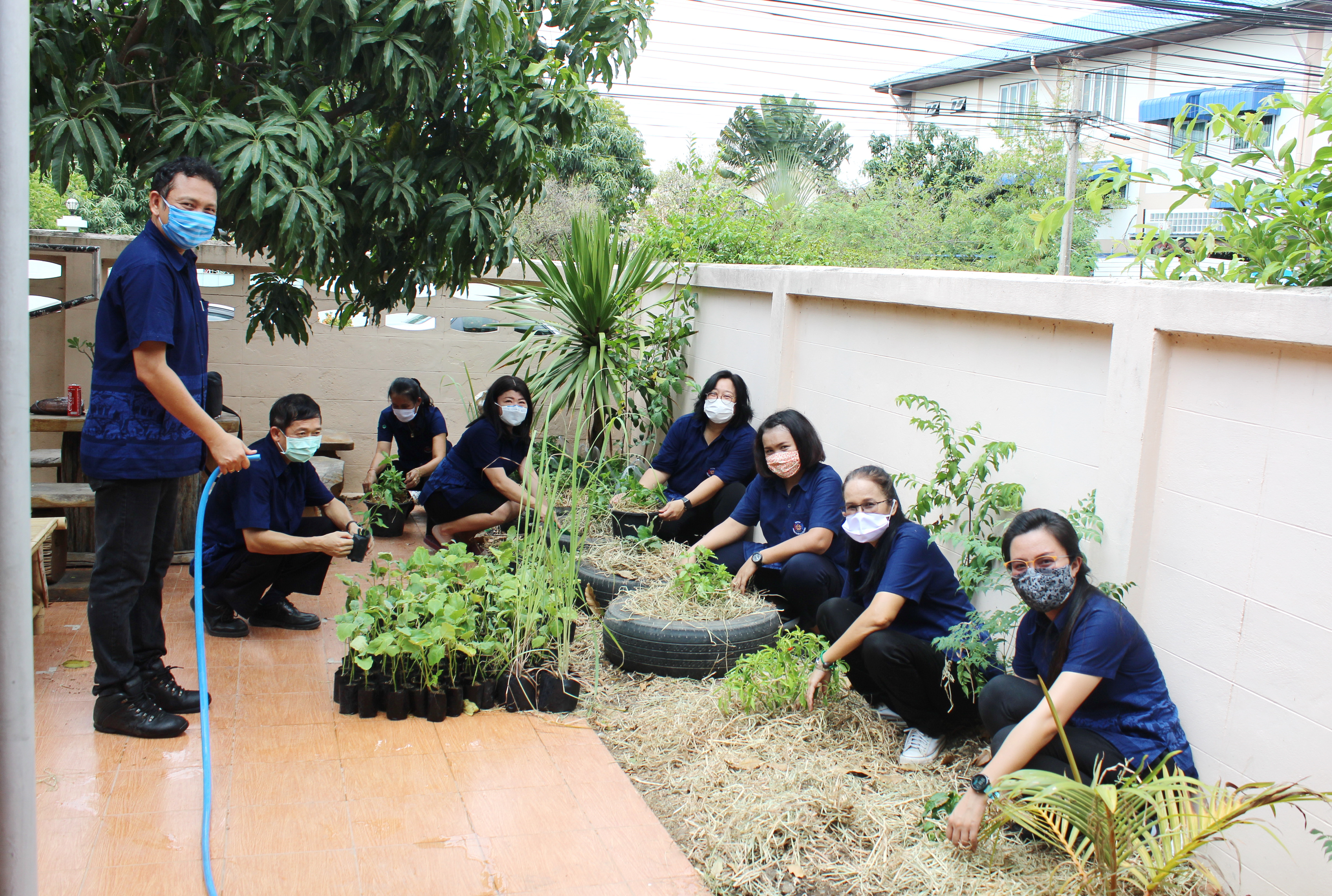 แปดริ้ว Kick Off พร้อมกันทั้งจังหวัดปลูกผัก สู้วิกฤต COVID – 19