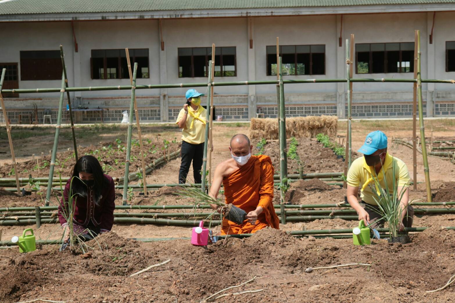 ฉะเชิงเทรา ปันสุข ปลูกผัก สานพลังรัก บ้าน วัด ราชการ (บวร) สร้างแหล่งอาหารในชุมชน