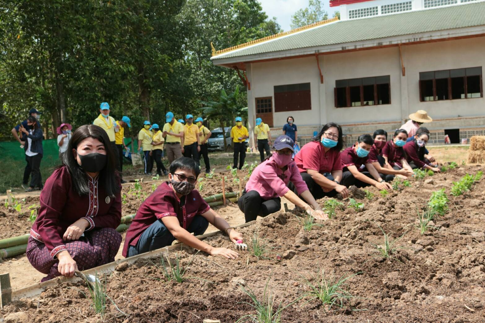 ฉะเชิงเทรา ปันสุข ปลูกผัก สานพลังรัก บ้าน วัด ราชการ (บวร) สร้างแหล่งอาหารในชุมชน