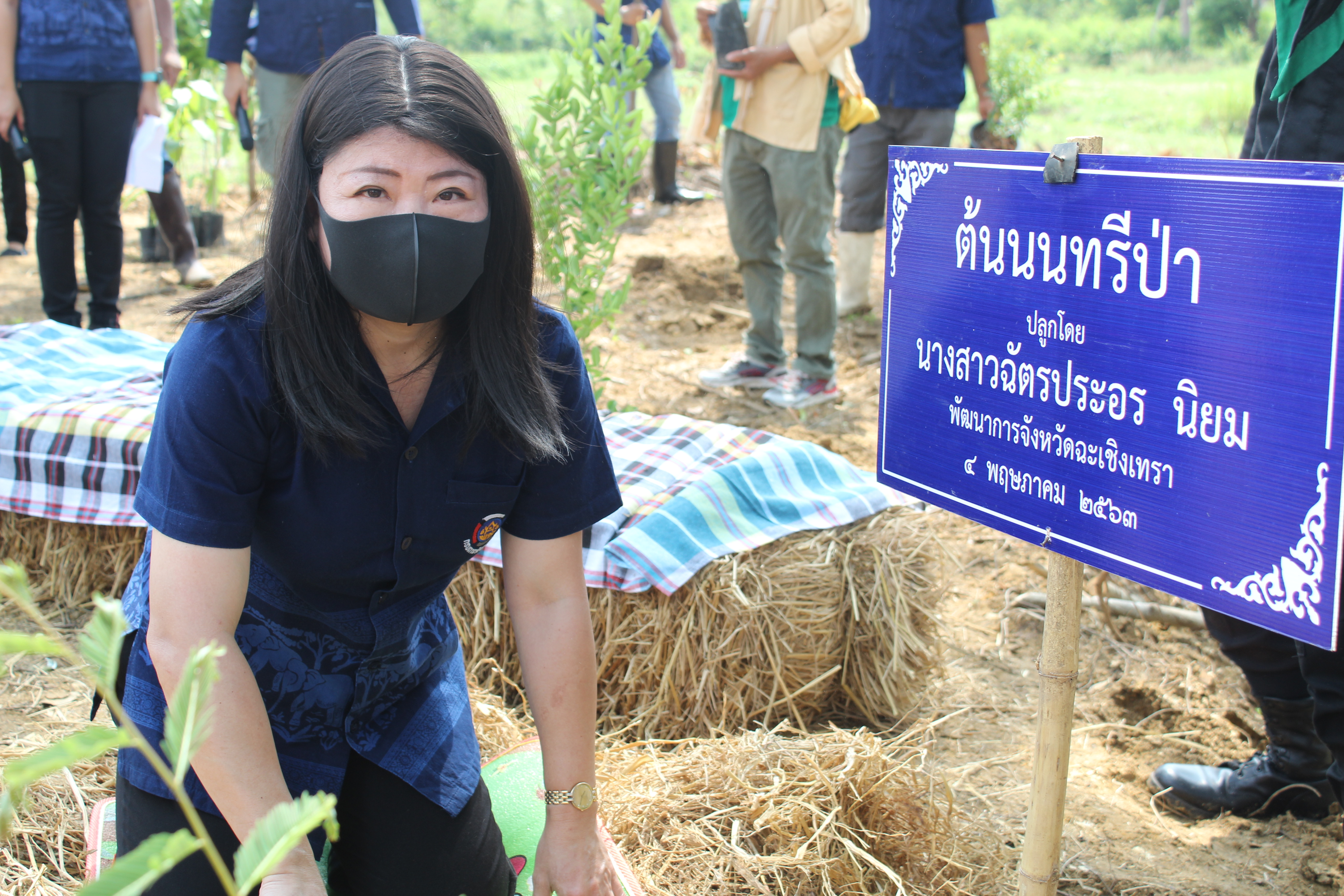 พช.แปดริ้ว ร่วมกับ อำเภอท่าตะเกียบ ปลูกป่าเฉลิมพระเกียรติ เนื่องในโอกาสมหามงคลพระราชพิธีบรมราชาภิเษก ครบรอบ 1 ปี เพื่อถวายเป็นพระราชกุศล