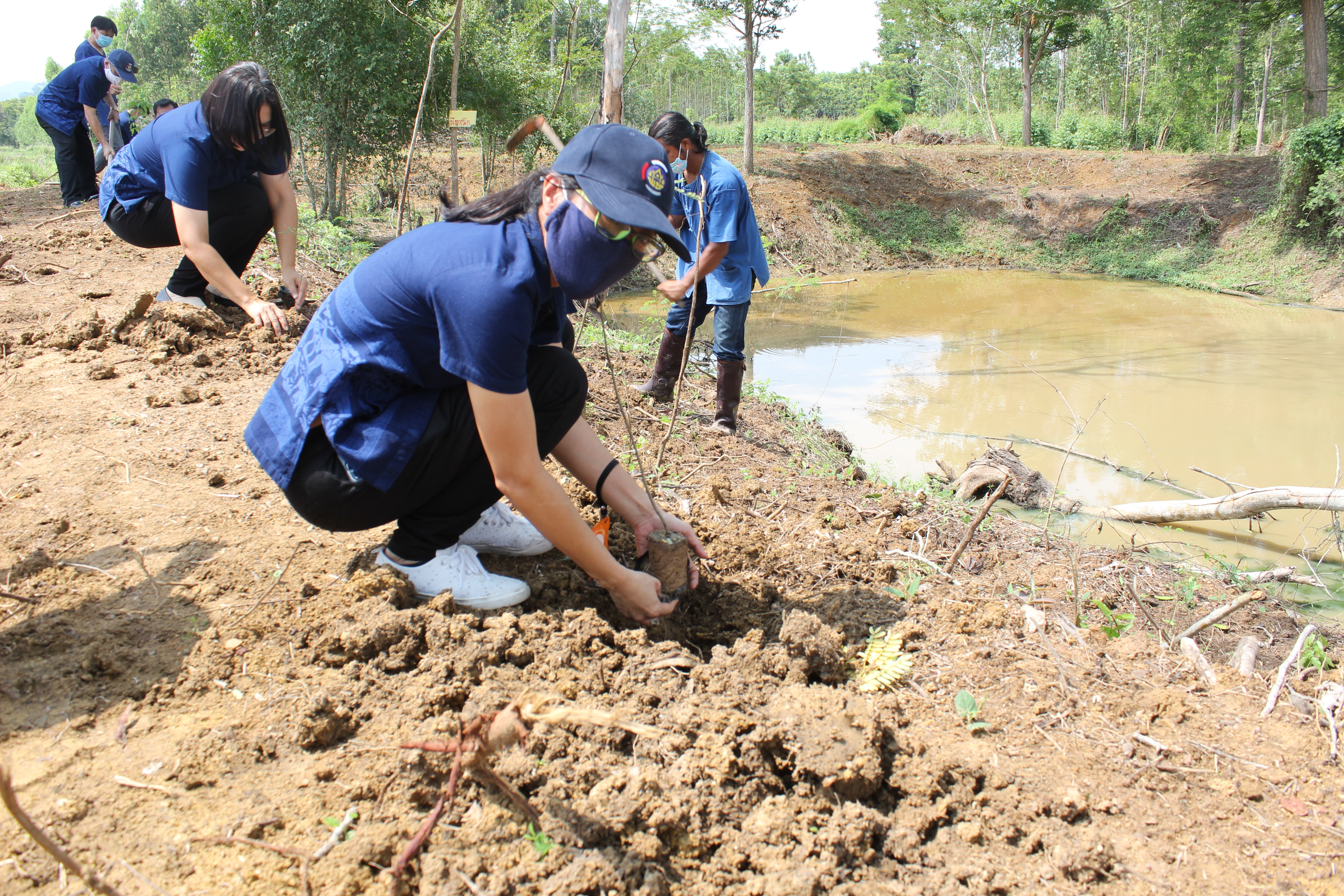 พช.แปดริ้ว ร่วมกับ อำเภอท่าตะเกียบ ปลูกป่าเฉลิมพระเกียรติ เนื่องในโอกาสมหามงคลพระราชพิธีบรมราชาภิเษก ครบรอบ 1 ปี เพื่อถวายเป็นพระราชกุศล