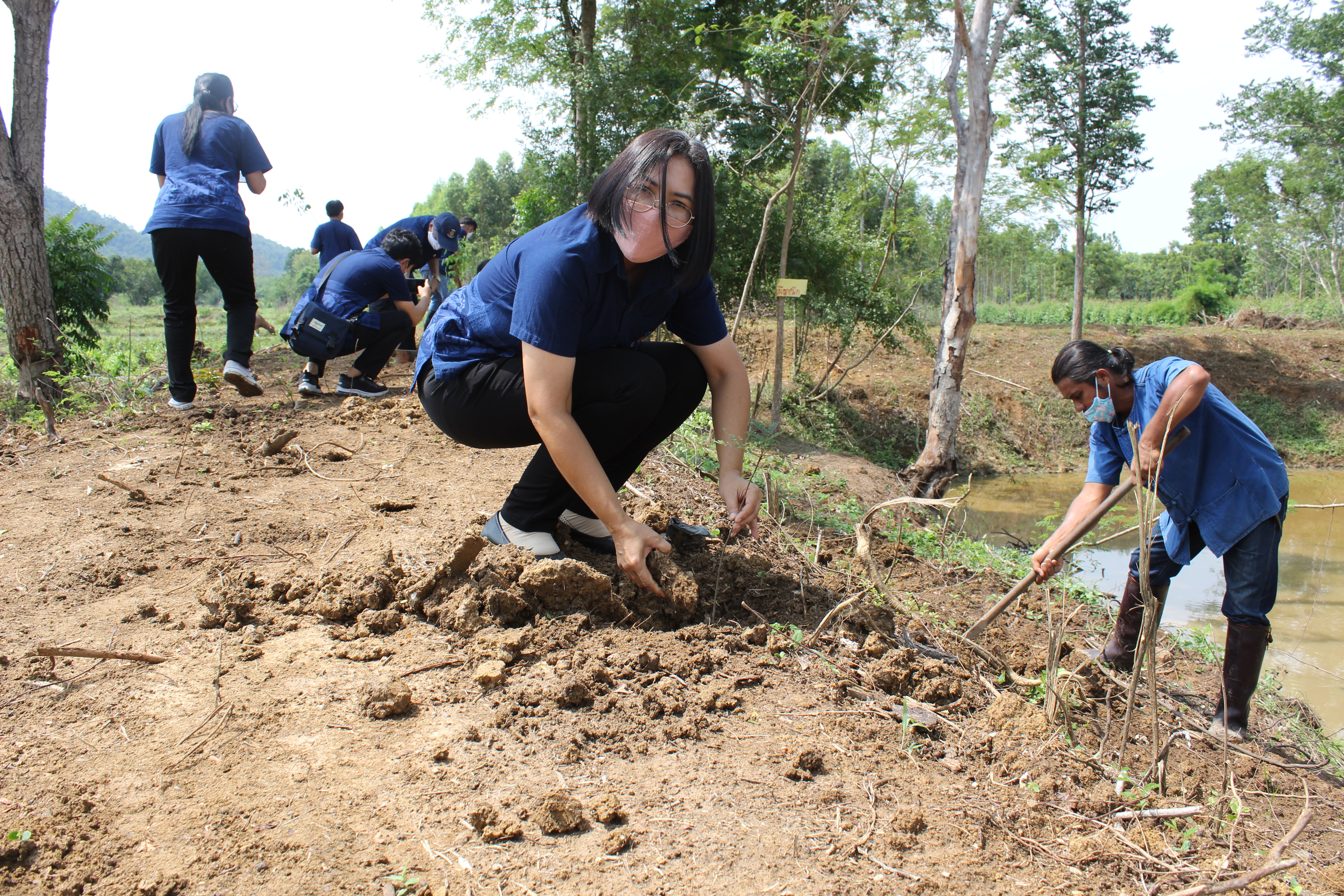 พช.แปดริ้ว ร่วมกับ อำเภอท่าตะเกียบ ปลูกป่าเฉลิมพระเกียรติ เนื่องในโอกาสมหามงคลพระราชพิธีบรมราชาภิเษก ครบรอบ 1 ปี เพื่อถวายเป็นพระราชกุศล