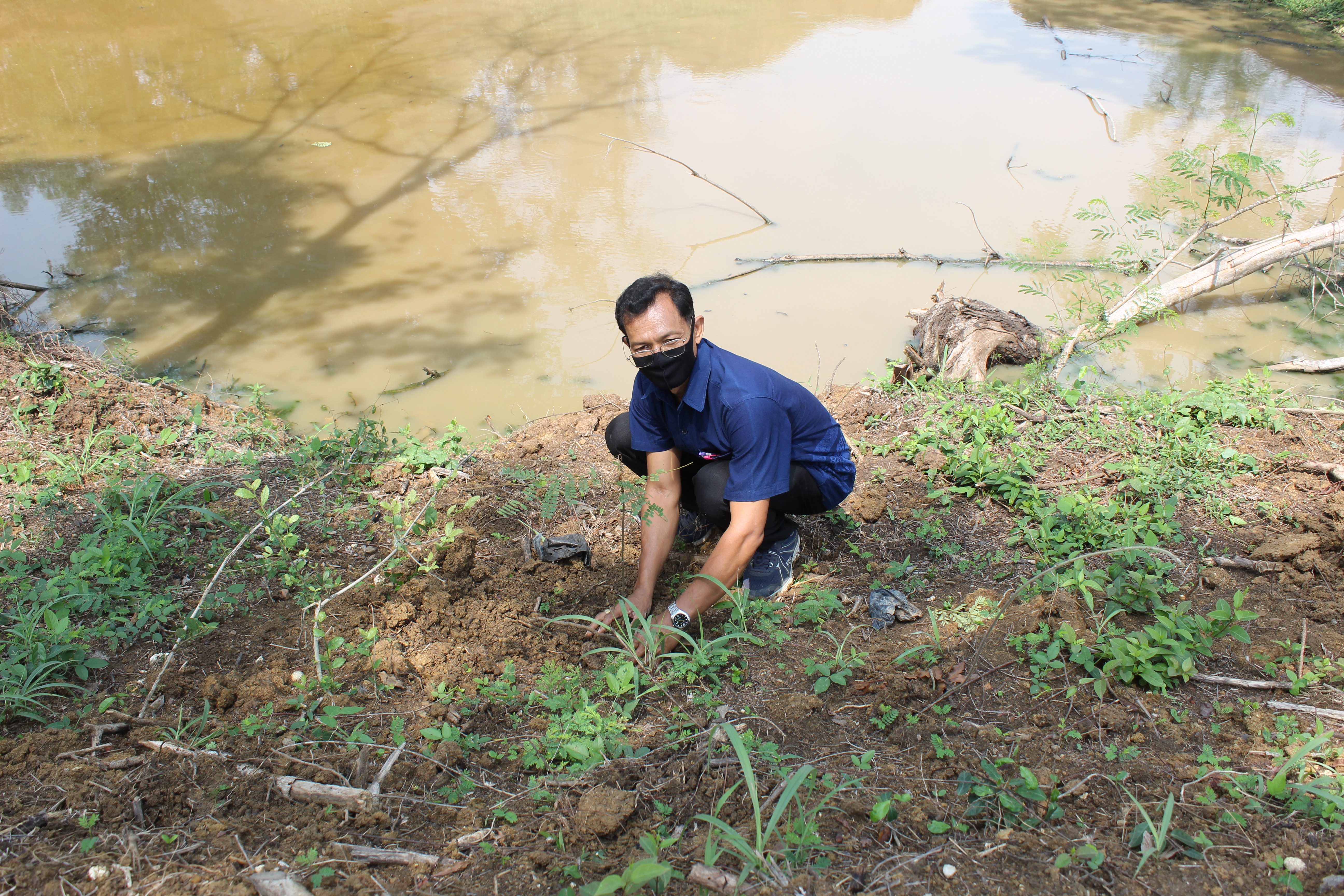 พช.แปดริ้ว ร่วมกับ อำเภอท่าตะเกียบ ปลูกป่าเฉลิมพระเกียรติ เนื่องในโอกาสมหามงคลพระราชพิธีบรมราชาภิเษก ครบรอบ 1 ปี เพื่อถวายเป็นพระราชกุศล
