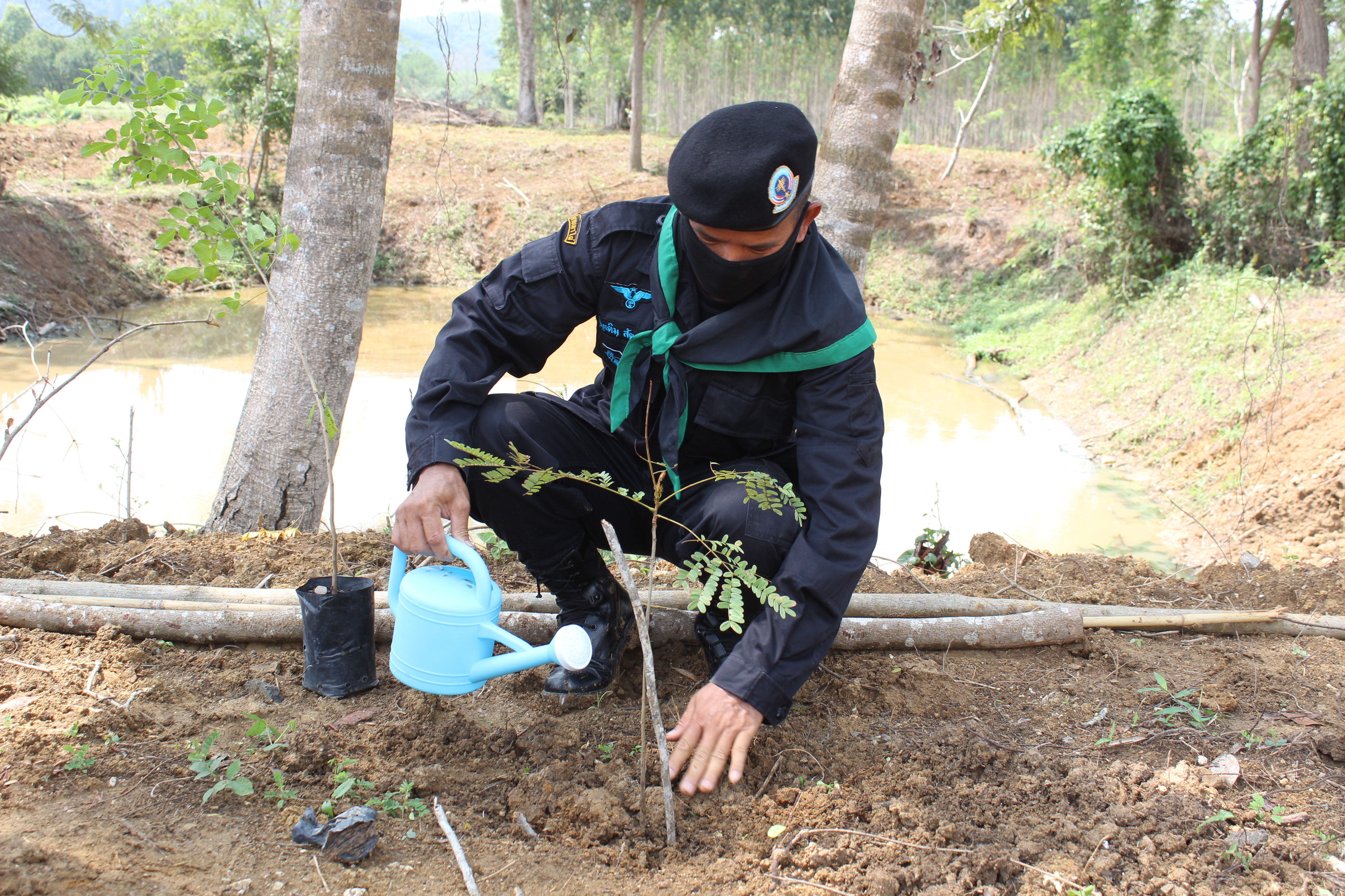 พช.แปดริ้ว ร่วมกับ อำเภอท่าตะเกียบ ปลูกป่าเฉลิมพระเกียรติ เนื่องในโอกาสมหามงคลพระราชพิธีบรมราชาภิเษก ครบรอบ 1 ปี เพื่อถวายเป็นพระราชกุศล