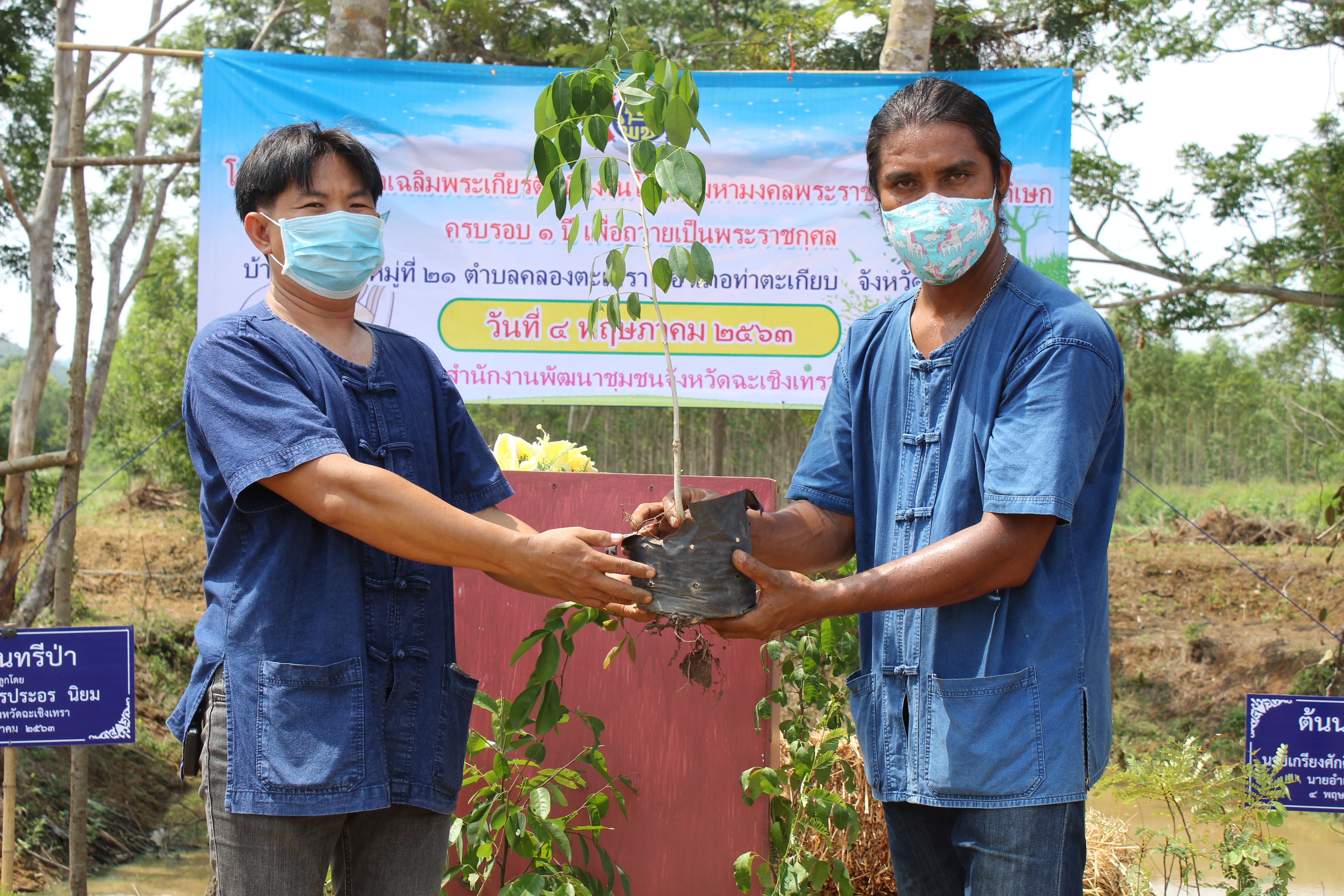 พช.แปดริ้ว ร่วมกับ อำเภอท่าตะเกียบ ปลูกป่าเฉลิมพระเกียรติ เนื่องในโอกาสมหามงคลพระราชพิธีบรมราชาภิเษก ครบรอบ 1 ปี เพื่อถวายเป็นพระราชกุศล