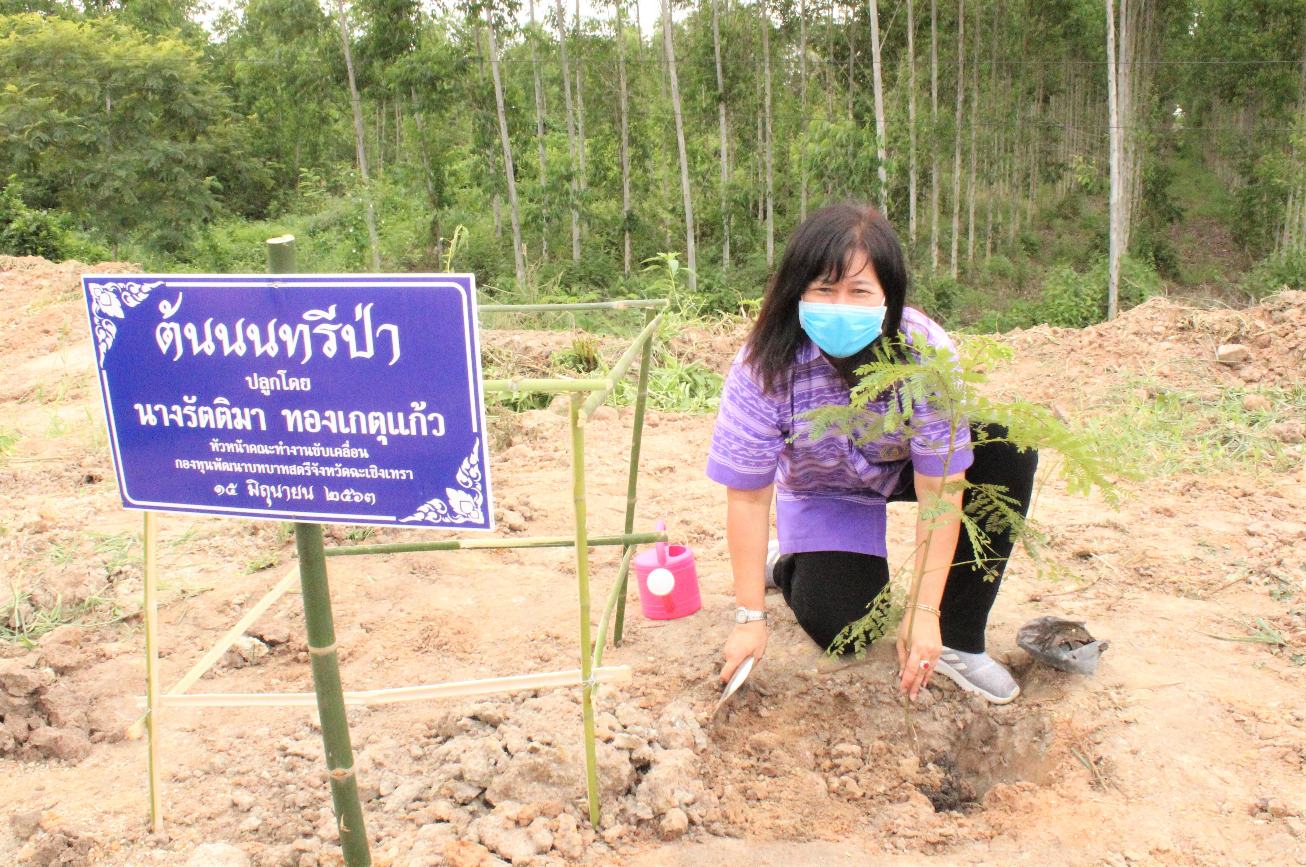 พช.ฉะเชิงเทรา ร่วมกับ พช.อำเภอแปลงยาว และคณะกรรมการพัฒนาสตรีจังหวัด ปลูกป่าเฉลิมพระเกียรติ สมเด็จพระนางเจ้าสุทิดา พัชรสุธาพิมลลักษณ พระบรมราชินี
