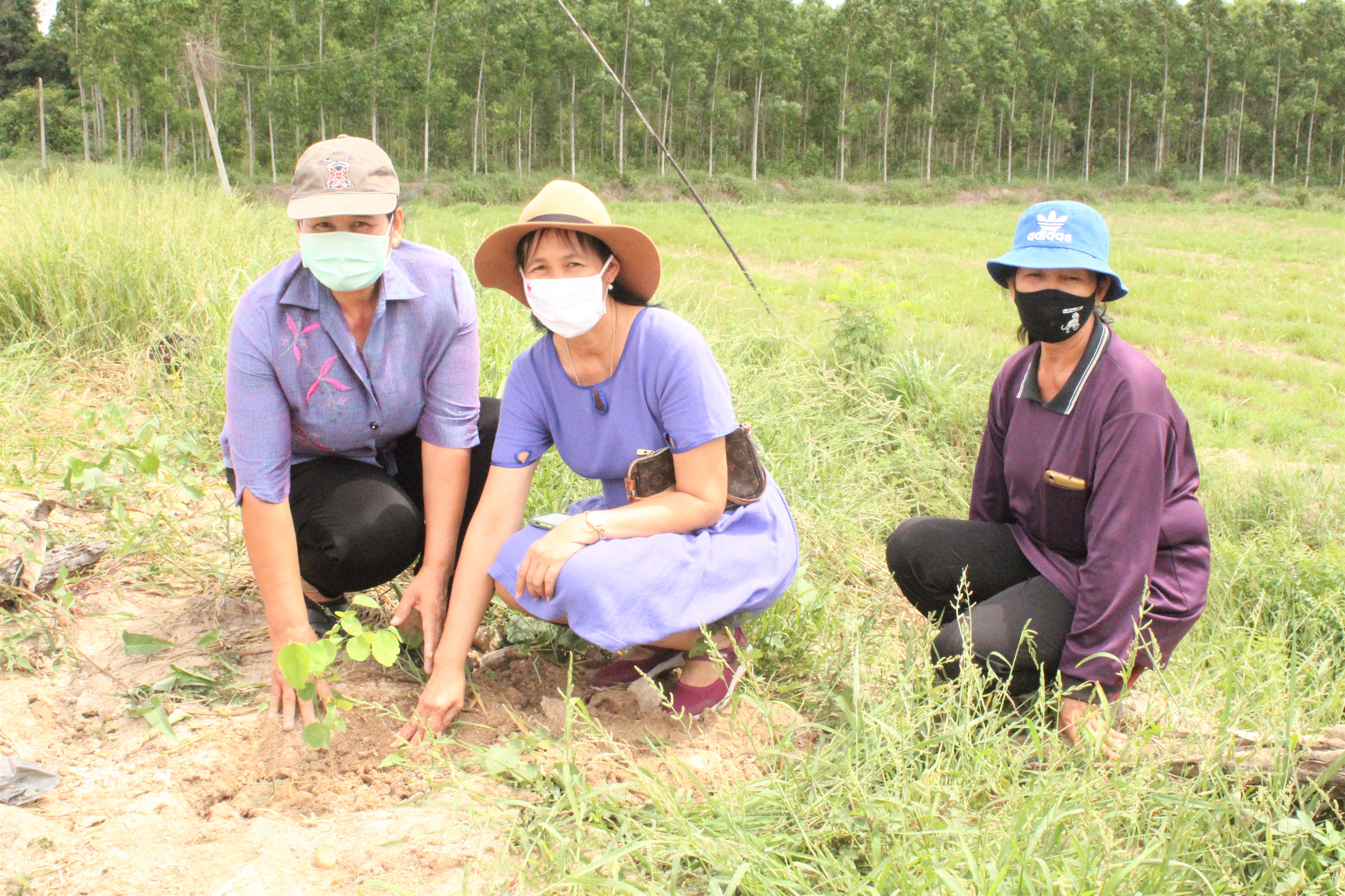 พช.ฉะเชิงเทรา ร่วมกับ พช.อำเภอแปลงยาว และคณะกรรมการพัฒนาสตรีจังหวัด ปลูกป่าเฉลิมพระเกียรติ สมเด็จพระนางเจ้าสุทิดา พัชรสุธาพิมลลักษณ พระบรมราชินี