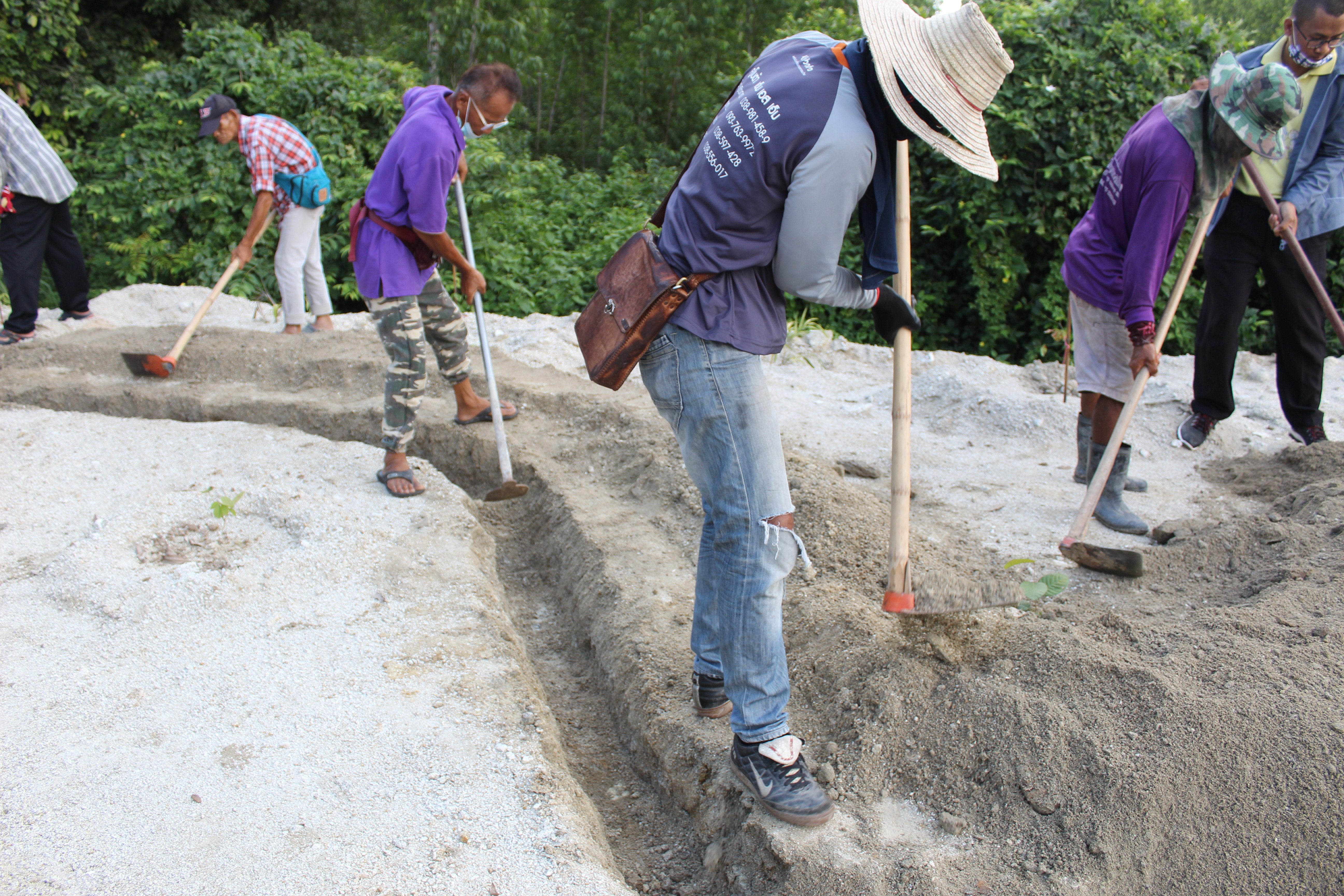 สำนักงานพัฒนาชุมชนจังหวัดฉะเชิงเทรา ผนึกความร่วมมือกับเครือข่ายศูนย์กสิกรรมธรรมชาติ เอามื้อสามัคคี ณ วัดโกรกแก้ววงพระจันทร์