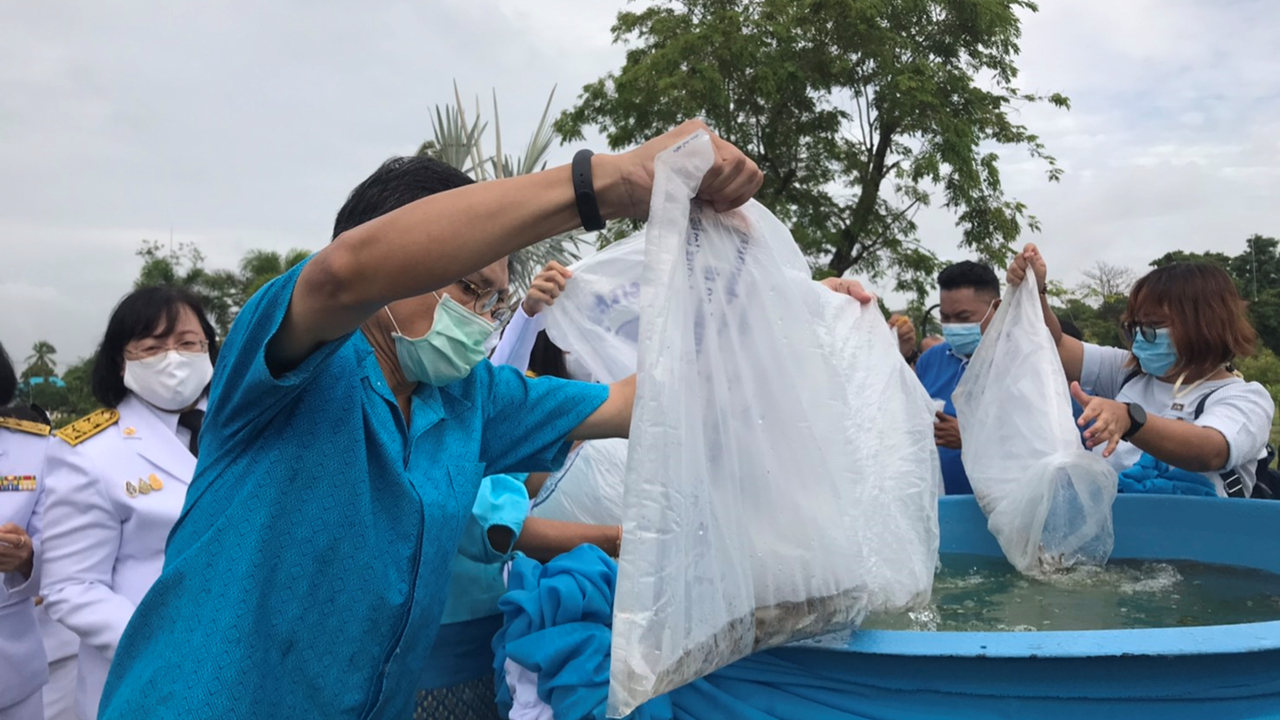 ⭐️⭐️พัฒนาการจังหวัดฉะเชิงเทรา ร่วมทำบุญตักบาตร ถวายเป็นพระราชกุศล และลงนามถวายพระพรชัยมงคล เนื่องในโอกาสวันเฉลิมพระชนมพรรษา สมเด็จพระนางเจ้าสิริกิติ์ พระบรมราชินีนาถ พระบรมราชชนนีพันปีหลวง ประจำปีพุทธศักราช 2563⭐️⭐️