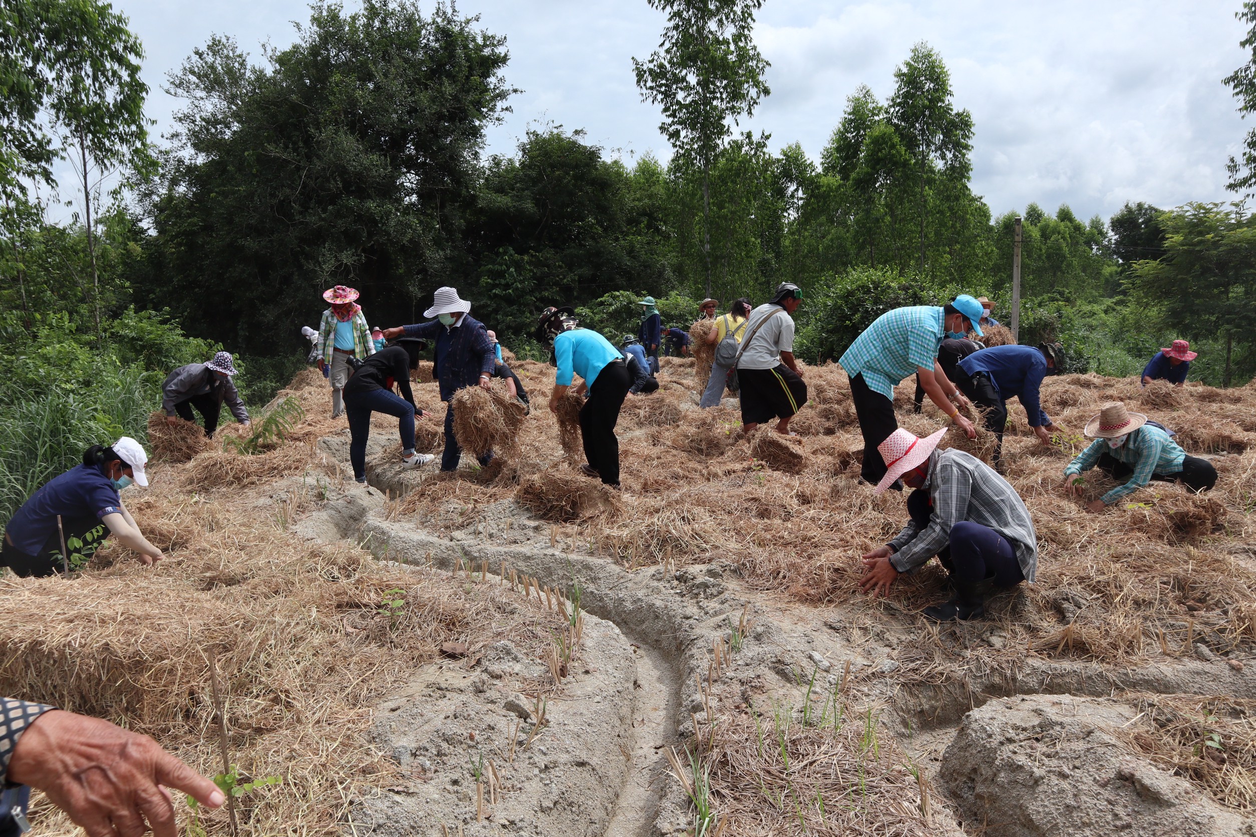 >>> พช.แปดริ้ว ขับเคลื่อนกิจกรรมเอามื้อสามัคคี ณ ชุมชนวัดโกรกแก้ววงพระจันทร์ <<<
