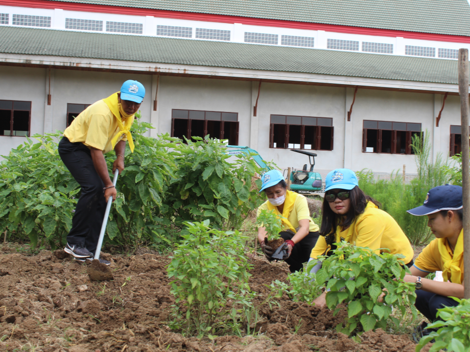 ⭐️⭐️พช.ฉะเชิงเทรา จัดกิจกรรมจิตอาสาพัฒนา เนื่องในวันเฉลิมพระชนมพรรษาพระบาทสมเด็จพระเจ้าอยู่หัว⭐️⭐️