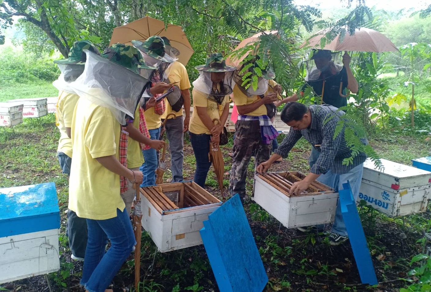 >>สมาชิกกลุ่มวิสาหกิจชุมชนผู้เลี้ยงผึ้งบ้านคลองมะหาด เรียนรู้ฝึกปฏิบัติการเลี้ยงผึ้ง