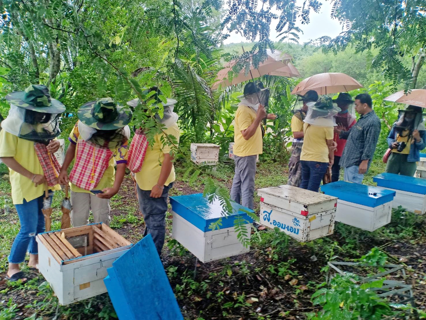 >>สมาชิกกลุ่มวิสาหกิจชุมชนผู้เลี้ยงผึ้งบ้านคลองมะหาด เรียนรู้ฝึกปฏิบัติการเลี้ยงผึ้ง