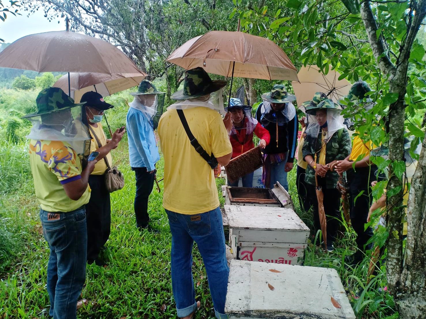 >>สมาชิกกลุ่มวิสาหกิจชุมชนผู้เลี้ยงผึ้งบ้านคลองมะหาด เรียนรู้ฝึกปฏิบัติการเลี้ยงผึ้ง