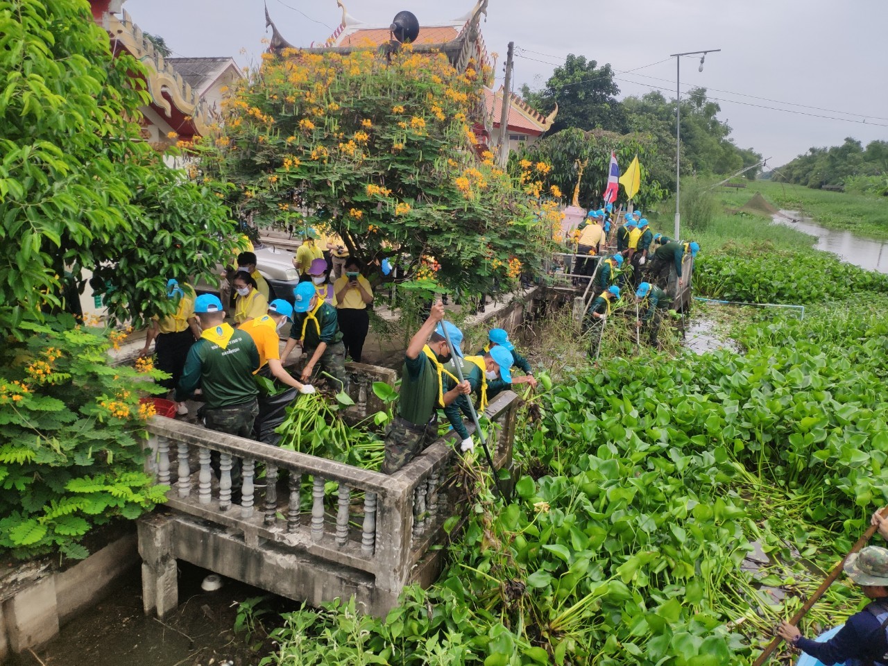 ?พช. ฉะเชิงเทรา ร่วมจิตอาสาพัฒนาลำน้ำลำคลอง กำจัดวัชพืชและผักตบชวา เพื่อถวายเป็นพระราชกุศลเนื่องในวันคล้ายวันสวรรคตพระบาทสมเด็จพระบรมชนกาธิเบศร มหาภูมิพลอดุลยเดชมหาราช บรมนาถบพิตร