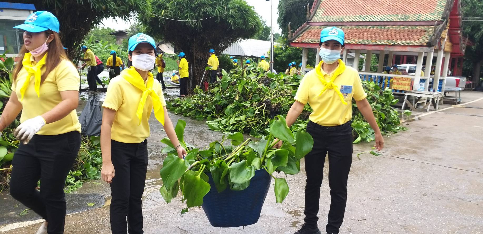 ?พช. ฉะเชิงเทรา ร่วมจิตอาสาพัฒนาลำน้ำลำคลอง กำจัดวัชพืชและผักตบชวา เพื่อถวายเป็นพระราชกุศลเนื่องในวันคล้ายวันสวรรคตพระบาทสมเด็จพระบรมชนกาธิเบศร มหาภูมิพลอดุลยเดชมหาราช บรมนาถบพิตร