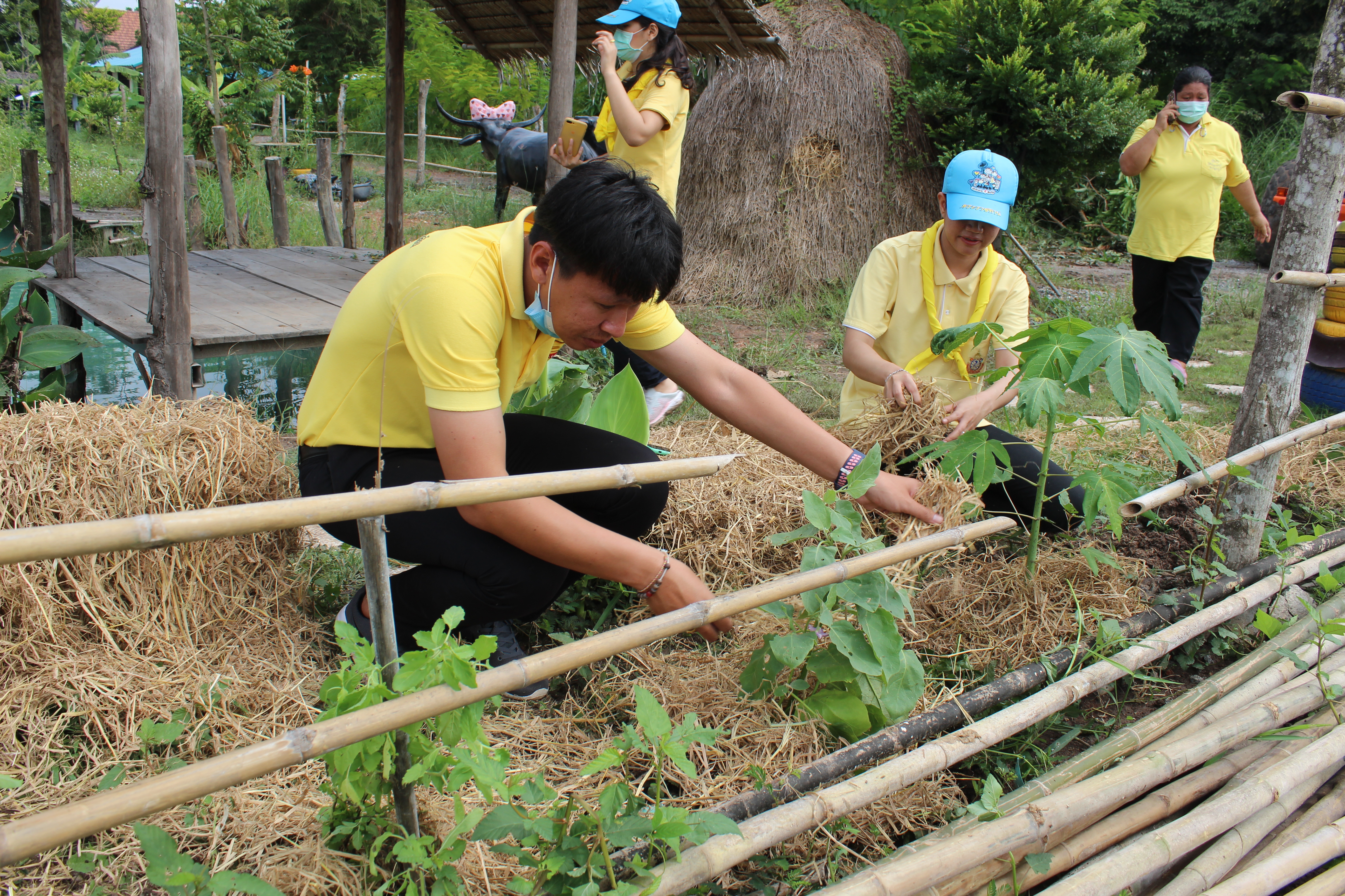 ?พัฒนาชุมชน ฉะเชิงเทรา น้อมรำลึกและสืบสานพระราชปณิธาน พระบาทสมเด็จพระบรมชนกาธิเบศร มหาภูมิพลอดุลยเดชมหาราช บรมนาถบพิตร
