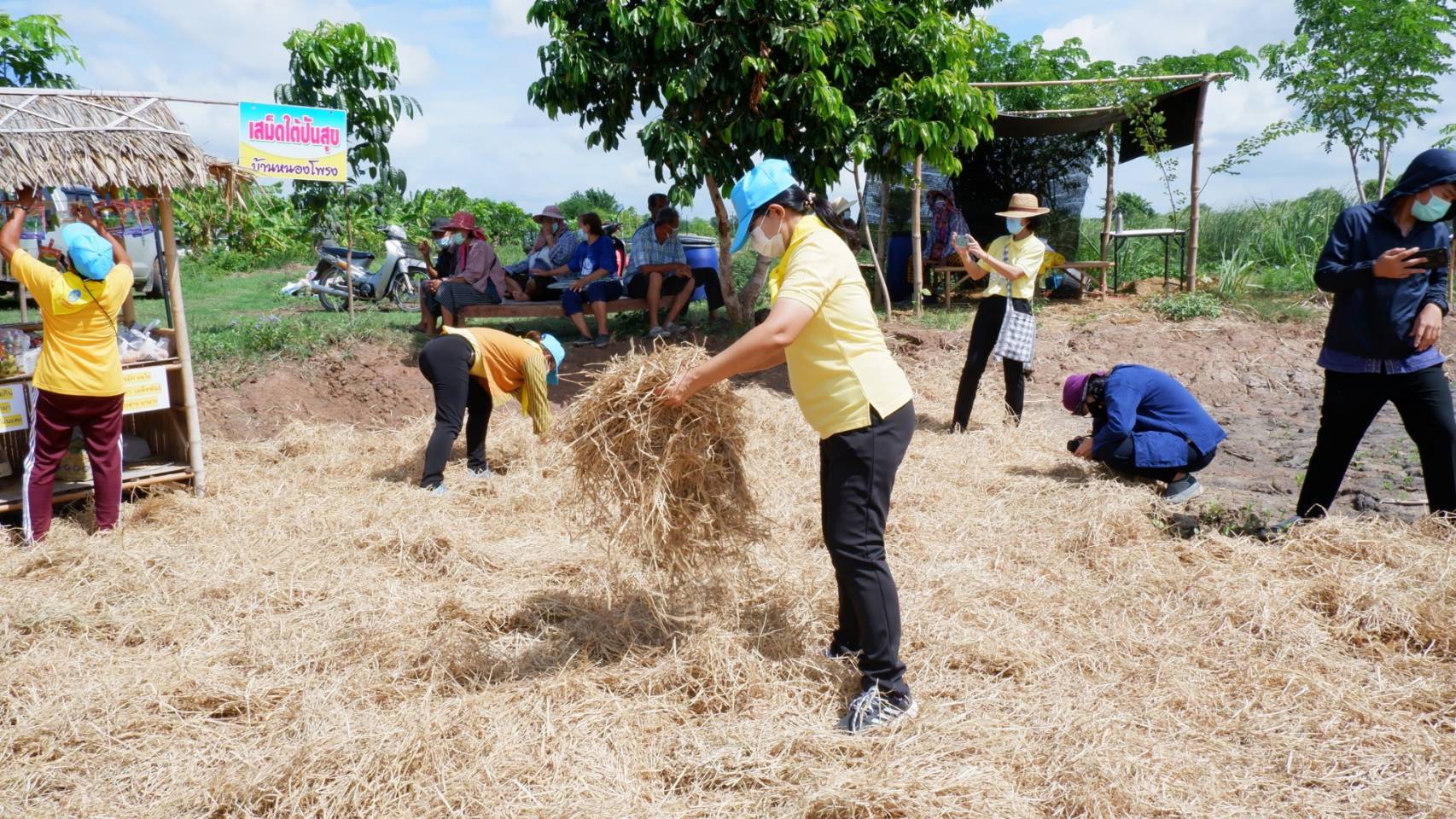 พช.บางคล้า จังหวัดฉะเชิงเทรา ร่วมจิตอาสาพัฒนาครัวเรือนต้นแบบตำบลเสม็ดใต้ เป้าหมาย ศูนย์เรียนรู้ทฤษฎีใหม่ รูปแบบ “โคก หนอง นา พช.”