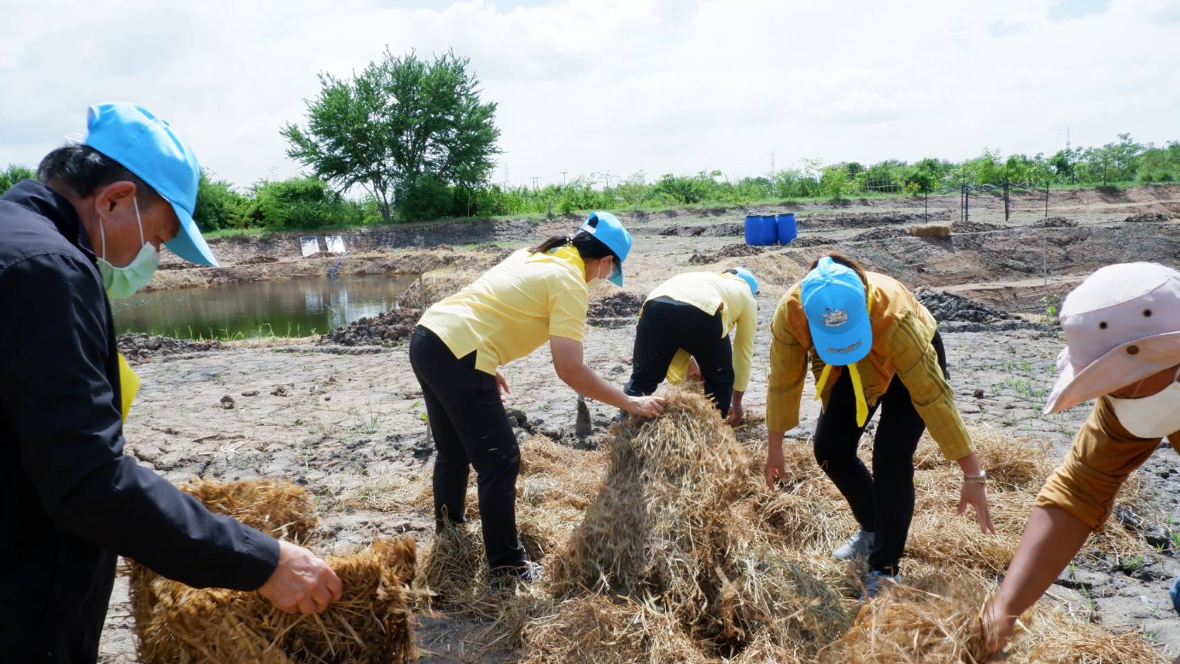 พช.บางคล้า จังหวัดฉะเชิงเทรา ร่วมจิตอาสาพัฒนาครัวเรือนต้นแบบตำบลเสม็ดใต้ เป้าหมาย ศูนย์เรียนรู้ทฤษฎีใหม่ รูปแบบ “โคก หนอง นา พช.”