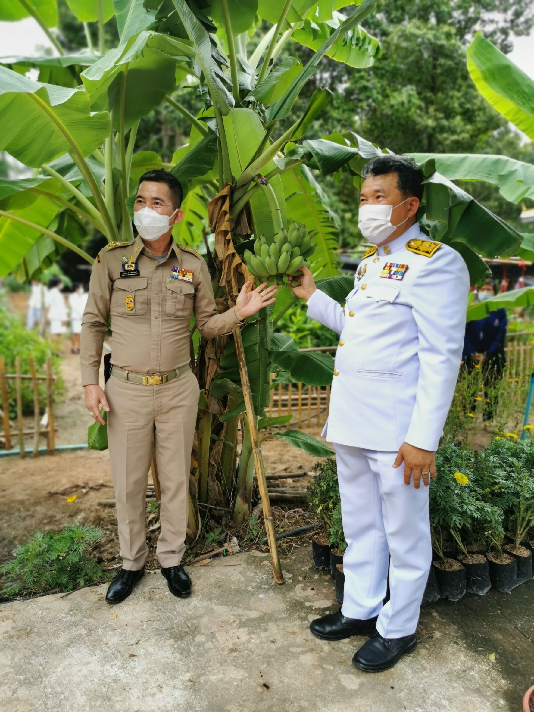 พช.ฉะเชิงเทรา ร่วมพิธีในโอกาสที่สมเด็จพระกนิษฐาธิราชเจ้า กรมสมเด็จพระเทพรัตนราชสุดาฯ สยามบรมราชกุมารี ทรงพระกรุณาโปรดเกล้าฯ พระราชทานผ้าไตร เพื่อทอดผ้าป่าการกุศลสมทบทุนมูลนิธิอานันทมหิดล และมูลนิธิรามาธิบดีฯ ในงานทำบุญอายุวัฒนมงคลครบ 50 ปี