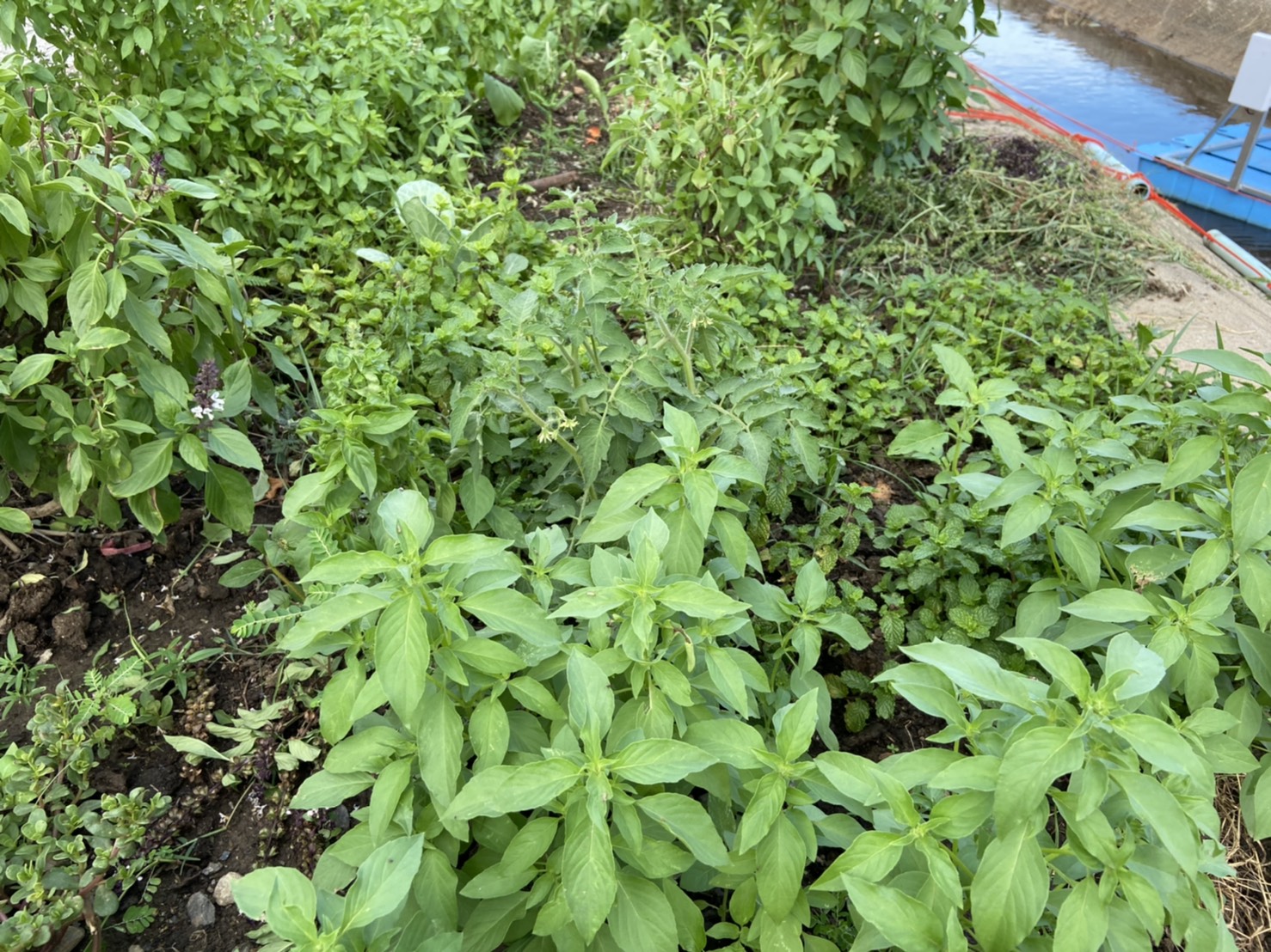 พช.ฉะเชิงเทรา  เสริมทัพ เติมพลัง ให้กำลังใจ ทีมผู้นำการเปลี่ยนแปลงตำบลเสม็ดใต้