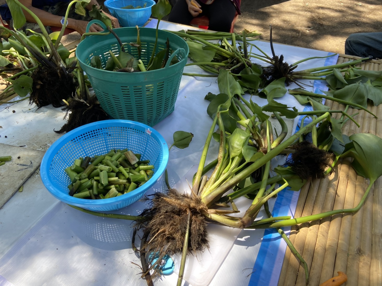 พช. ฉะเชิงเทรา ประสานสนับสนุน สร้างสุข เสม็ดใต้