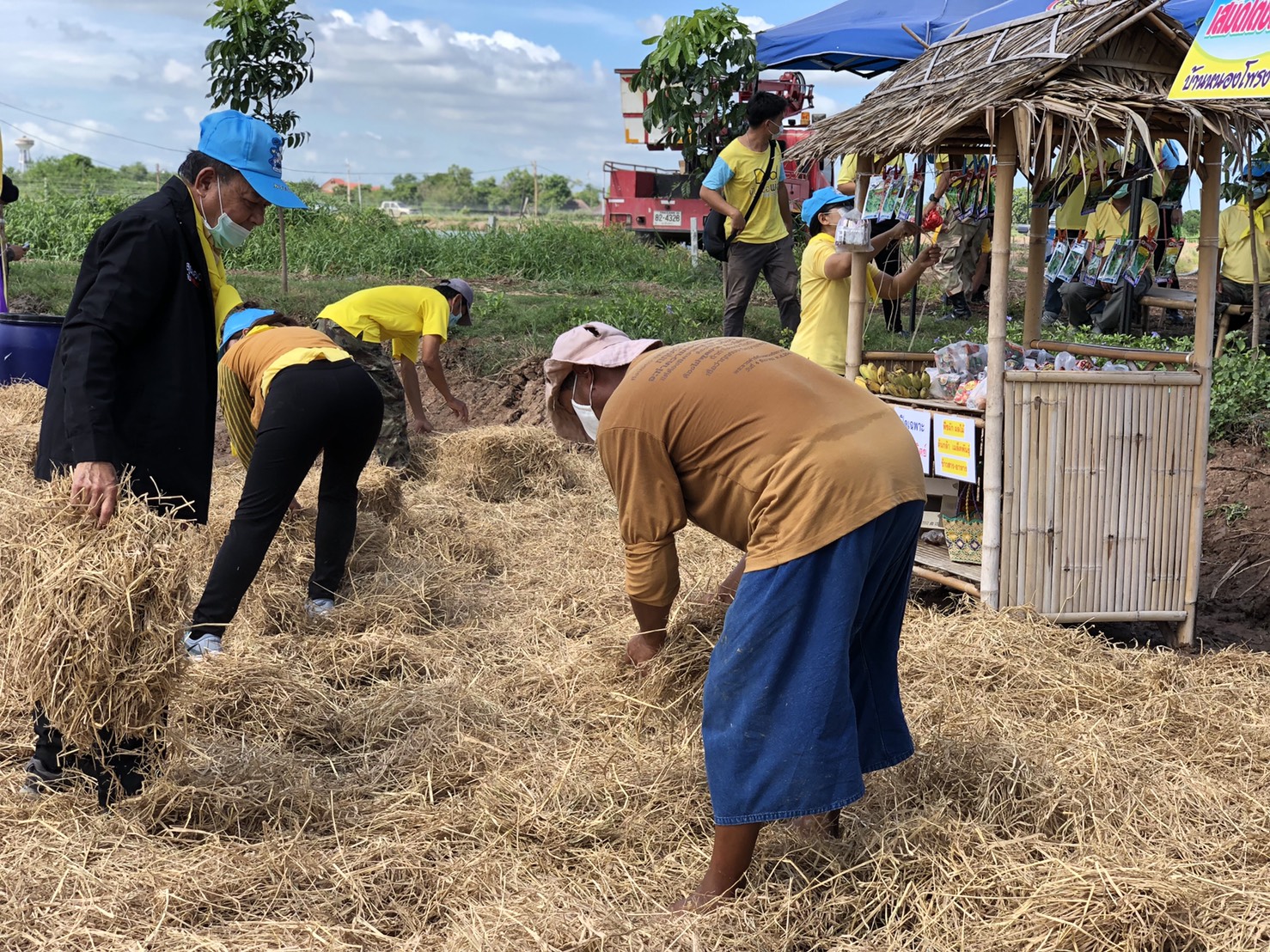 พช ฉะเชิงเทรา  ร่วมกิจกรรมจิตอาสาพัฒนาศูนย์เรียนรู้ทฤษฎีใหม่รูปแบบ “โคก หนอง นา”