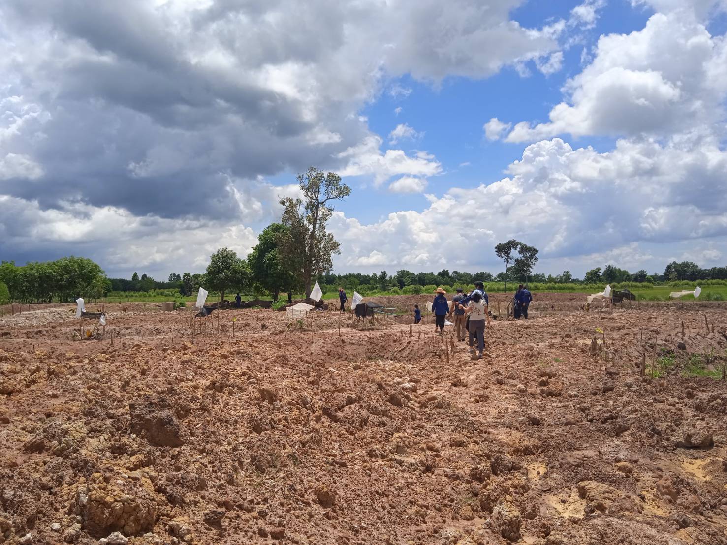 พช. ฉะเชิงเทรา ดำเนินโครงการเสริมสร้างอุดมการณ์ในงานพัฒนาชุมชน จัดทำเพลงมาร์ชพัฒนาชุมชน ในบรรยากาศ โคก หนอง นา @ บ้านเนินน้อย อ. ท่าตะเกียบ ฉะเชิงเทรา
