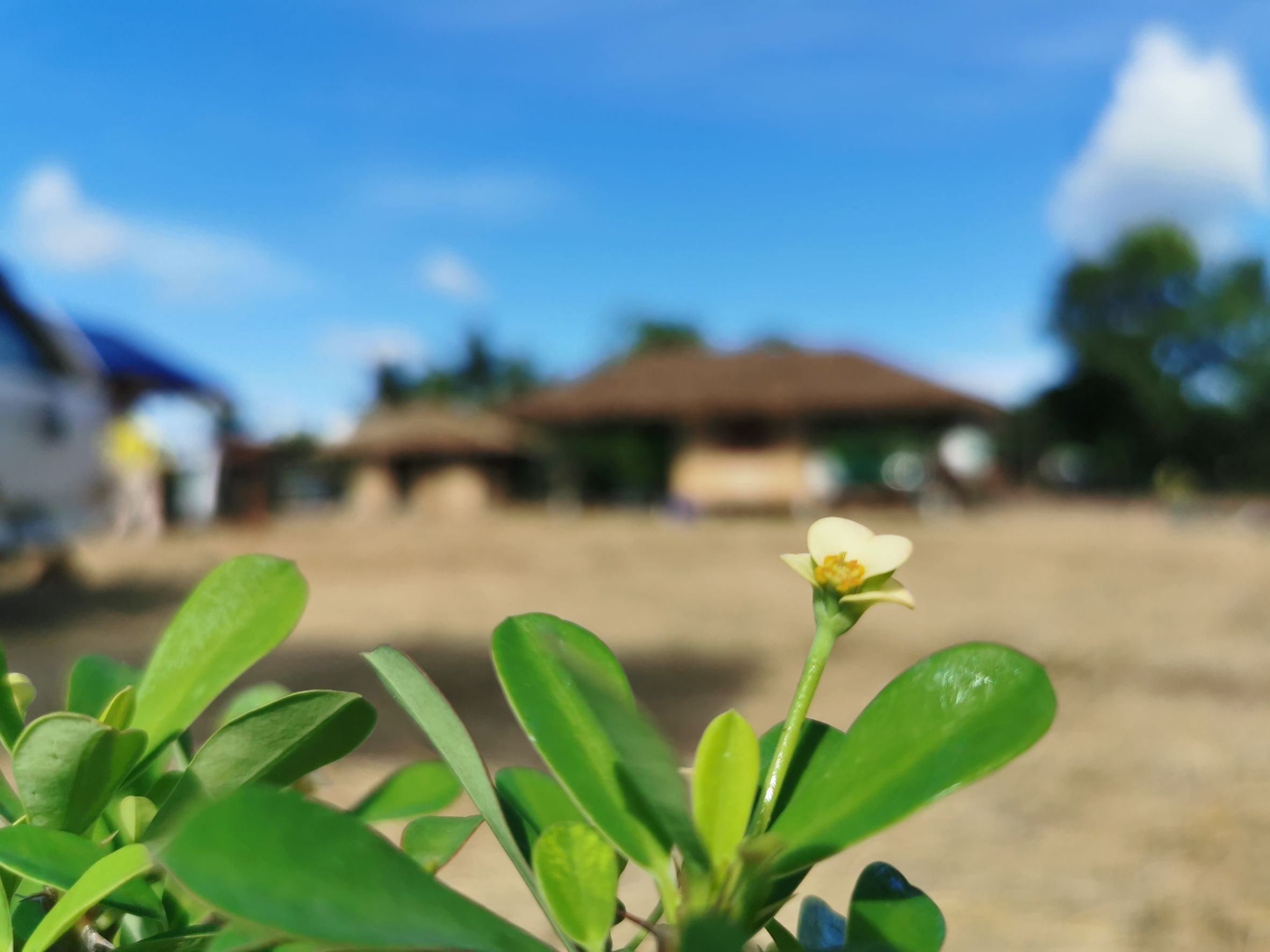 พช.ฉะเชิงเทรา  จัดกิจกรรม “จิตอาสาพัฒนาชุมชนเอามื้อสามัคคี” เพื่อน้อมรำลึกถึงพระมหากรุณาธิคุณ พระบาทสมเด็จพระบรมชนกาธิเบศร มหาภูมิพลอดุลยเดชมหาราช บรมนาถบพิตร และสำนึกในพระมหากรุณาธิคุณพระบาทสมเด็จ พระวชิรเกล้าเจ้าอยู่หัว