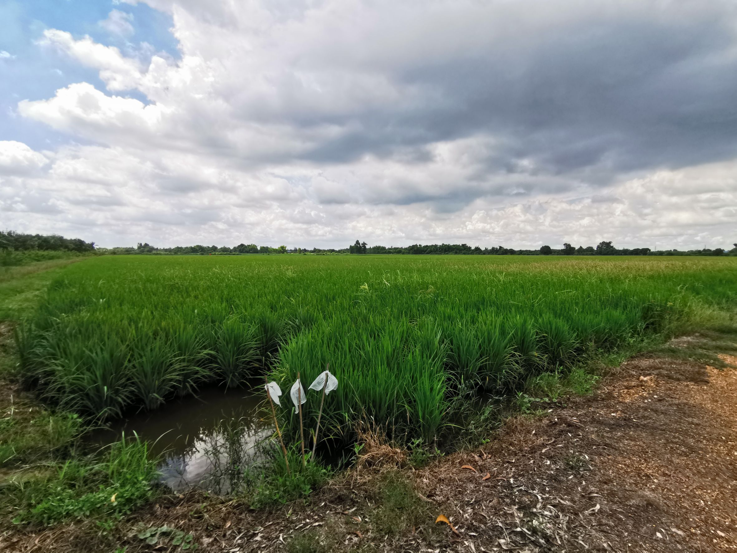 พช.ฉะเชิงเทรา ติดตามหนี้กองทุนพัฒนาบทบาทสตรี