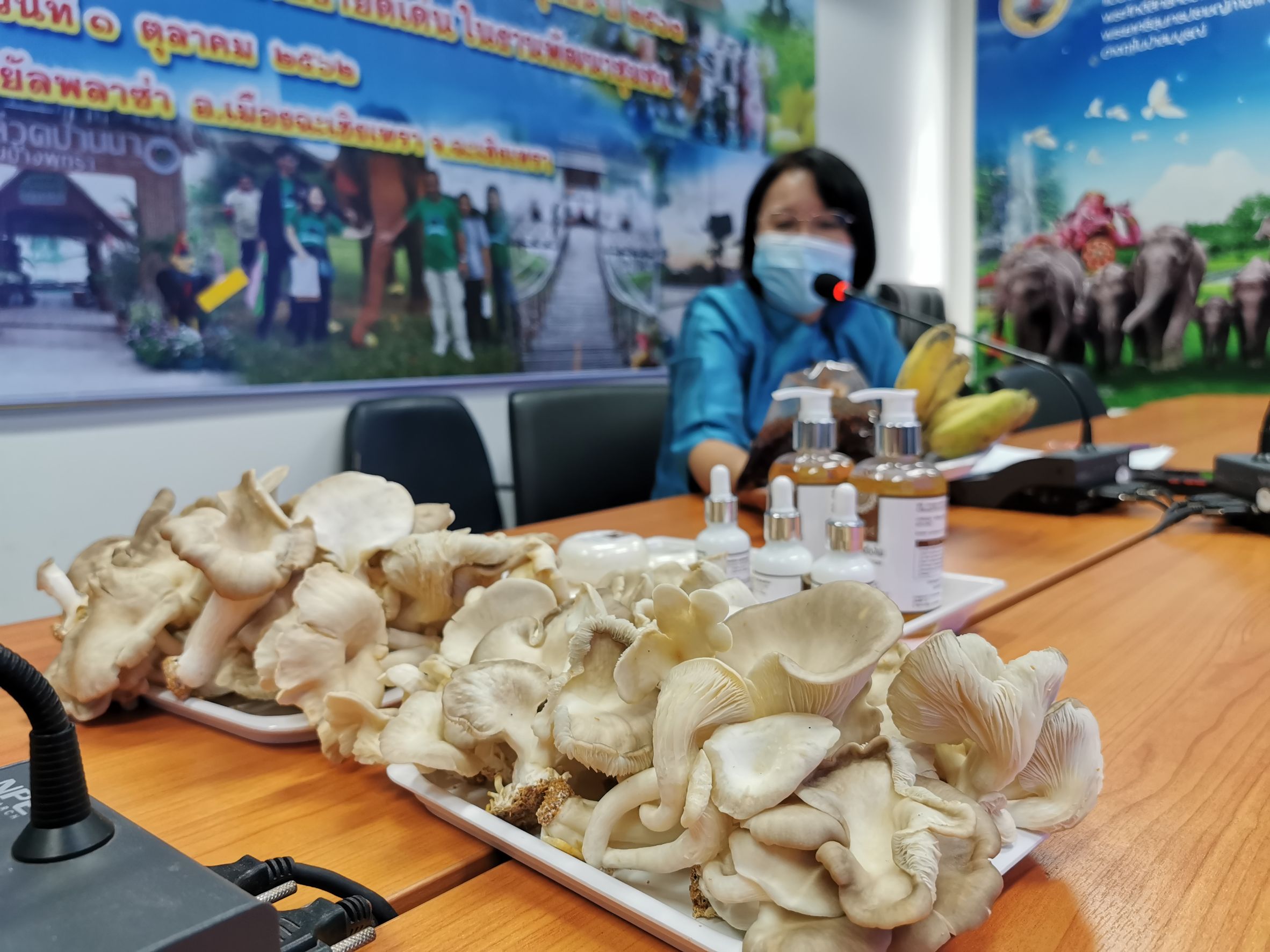 พช.ฉะเชิงเทรา จัดอบรมโครงการ TPMAP แก้จน คนขยันแปดริ้ว ผ่านระบบ Zoom meeting