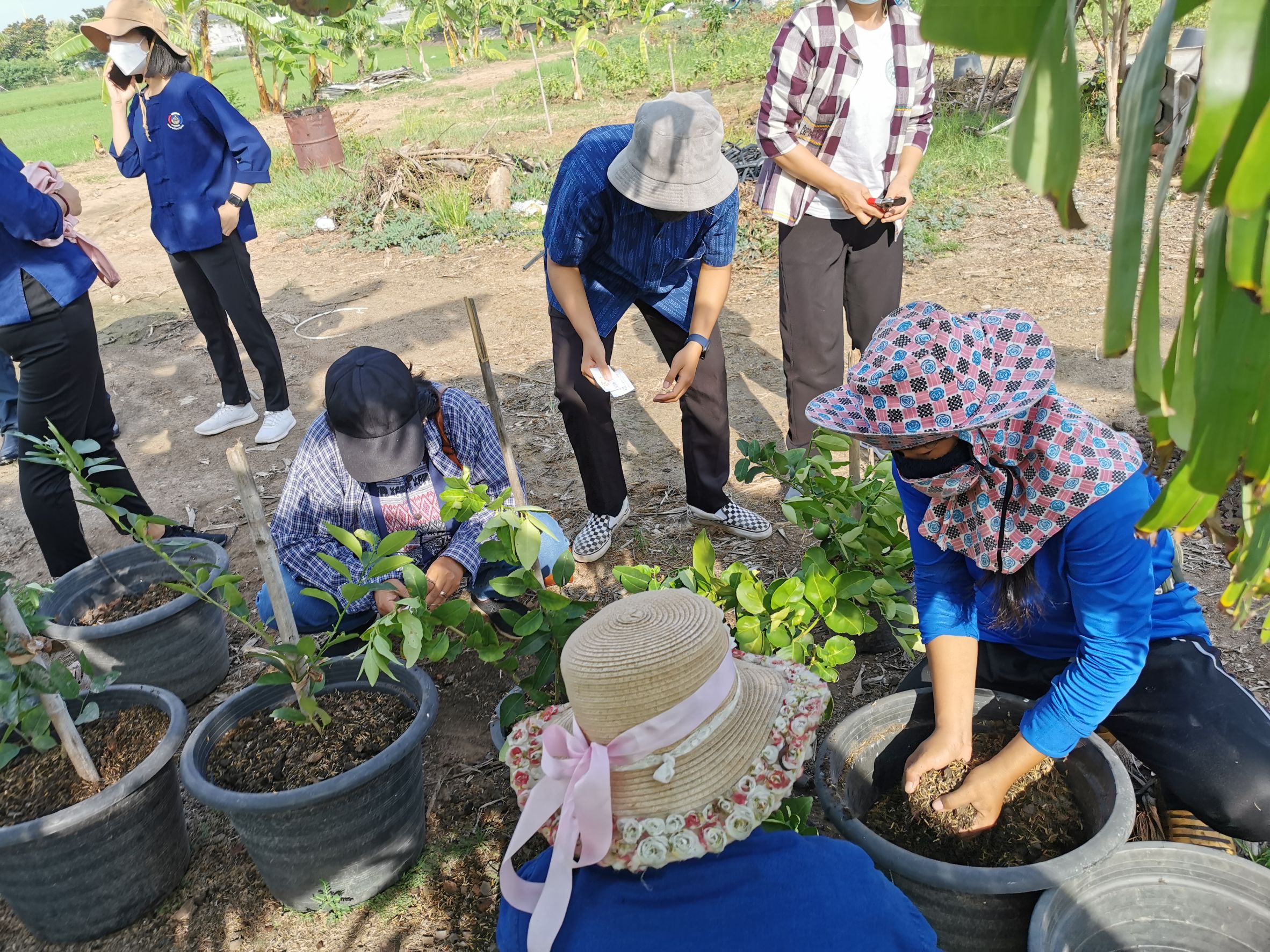 พัฒนาชุมชนจังหวัดฉะเชิงเทรา Kick Off โครงการเฉลิมพระเกียรติเนื่องในวันเฉลิมพระชนมพรรษา  สมเด็จพระนางเจ้าสิริกิติ์ พระบรมราชินีนาถ พระบรมราชชนนีพันปีหลวง : กิจกรรม พช.แปดริ้วรวมใจ  ร่วมปลูกสมุนไพร ต้านภัยโควิด -19  ด้วยพืชสมุนไพร