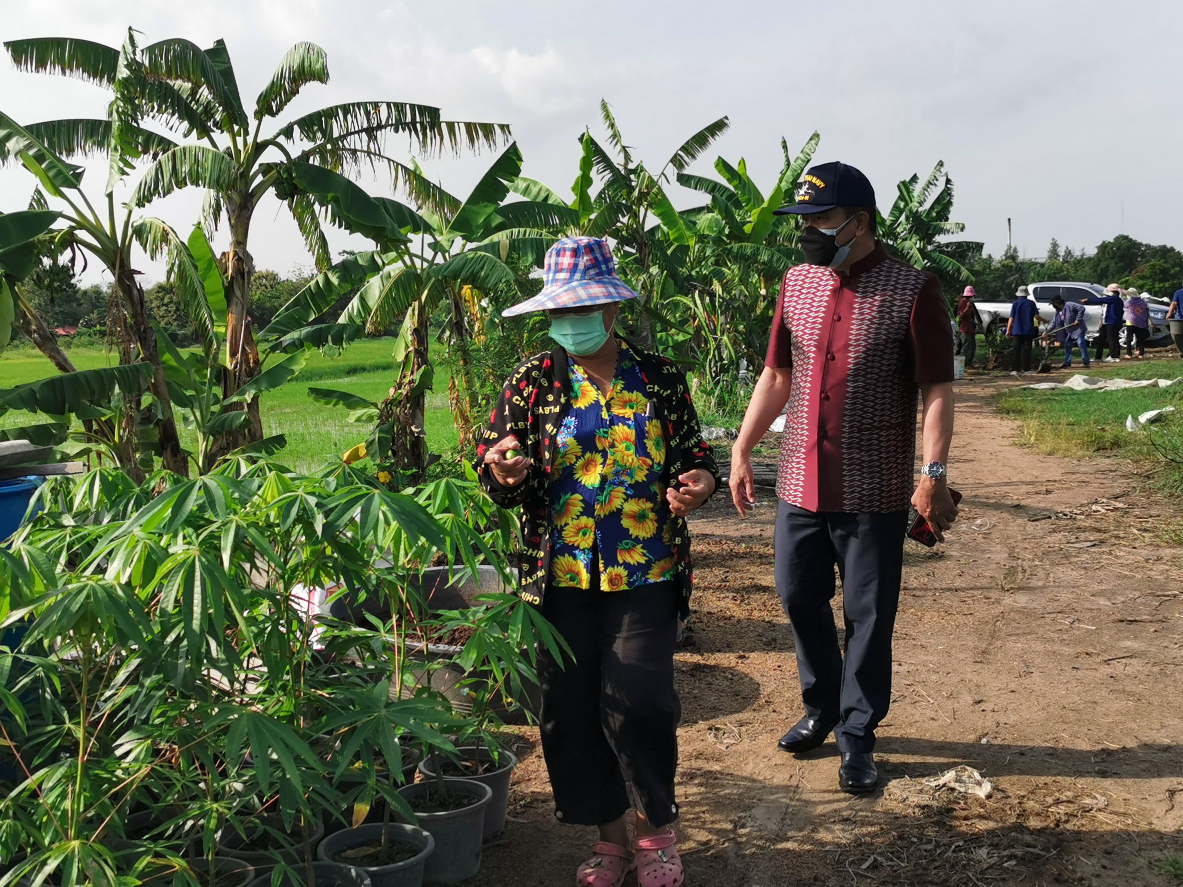 พัฒนาชุมชนจังหวัดฉะเชิงเทรา Kick Off โครงการเฉลิมพระเกียรติเนื่องในวันเฉลิมพระชนมพรรษา  สมเด็จพระนางเจ้าสิริกิติ์ พระบรมราชินีนาถ พระบรมราชชนนีพันปีหลวง : กิจกรรม พช.แปดริ้วรวมใจ  ร่วมปลูกสมุนไพร ต้านภัยโควิด -19  ด้วยพืชสมุนไพร