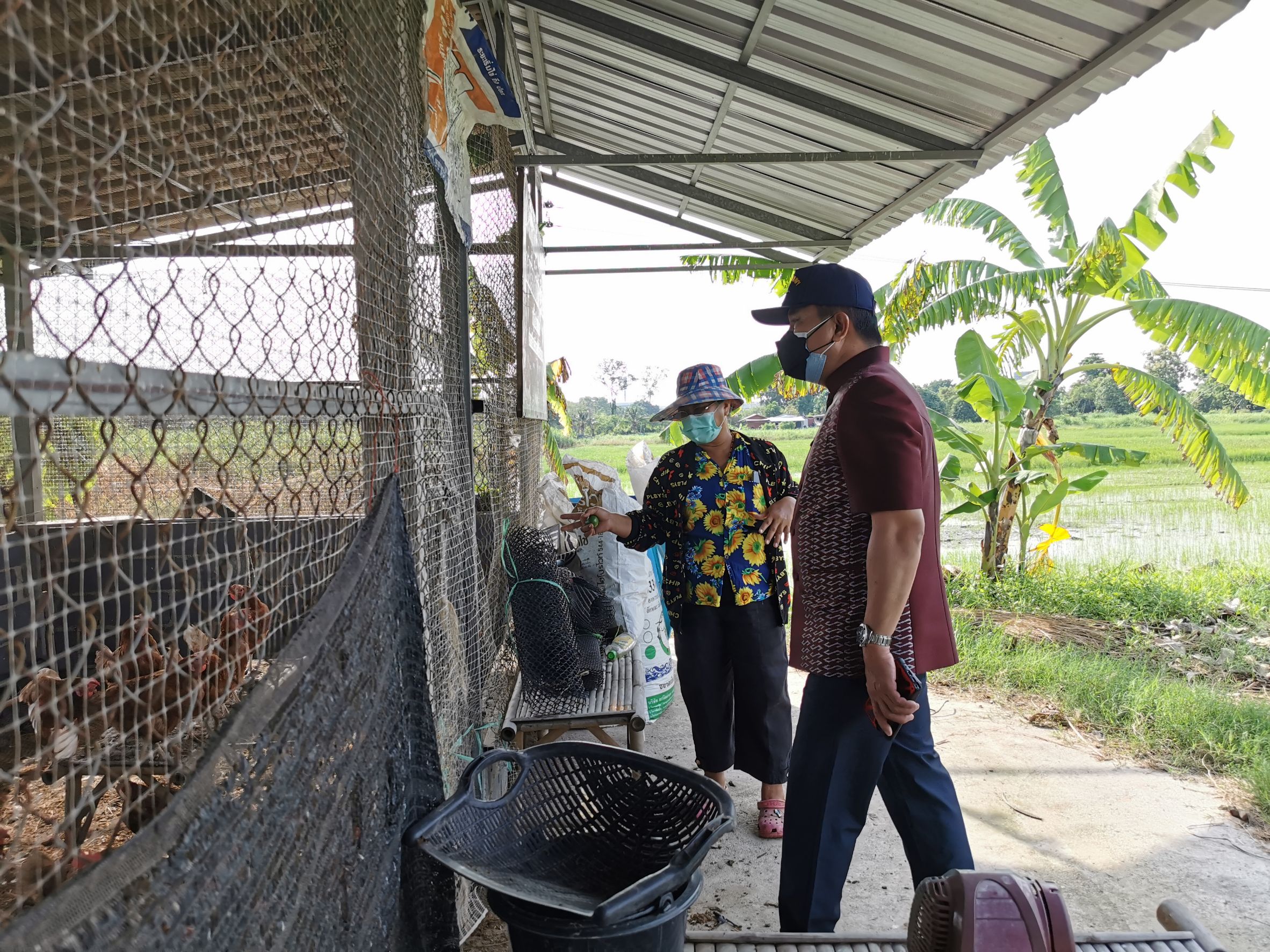 พัฒนาชุมชนจังหวัดฉะเชิงเทรา Kick Off โครงการเฉลิมพระเกียรติเนื่องในวันเฉลิมพระชนมพรรษา  สมเด็จพระนางเจ้าสิริกิติ์ พระบรมราชินีนาถ พระบรมราชชนนีพันปีหลวง : กิจกรรม พช.แปดริ้วรวมใจ  ร่วมปลูกสมุนไพร ต้านภัยโควิด -19  ด้วยพืชสมุนไพร