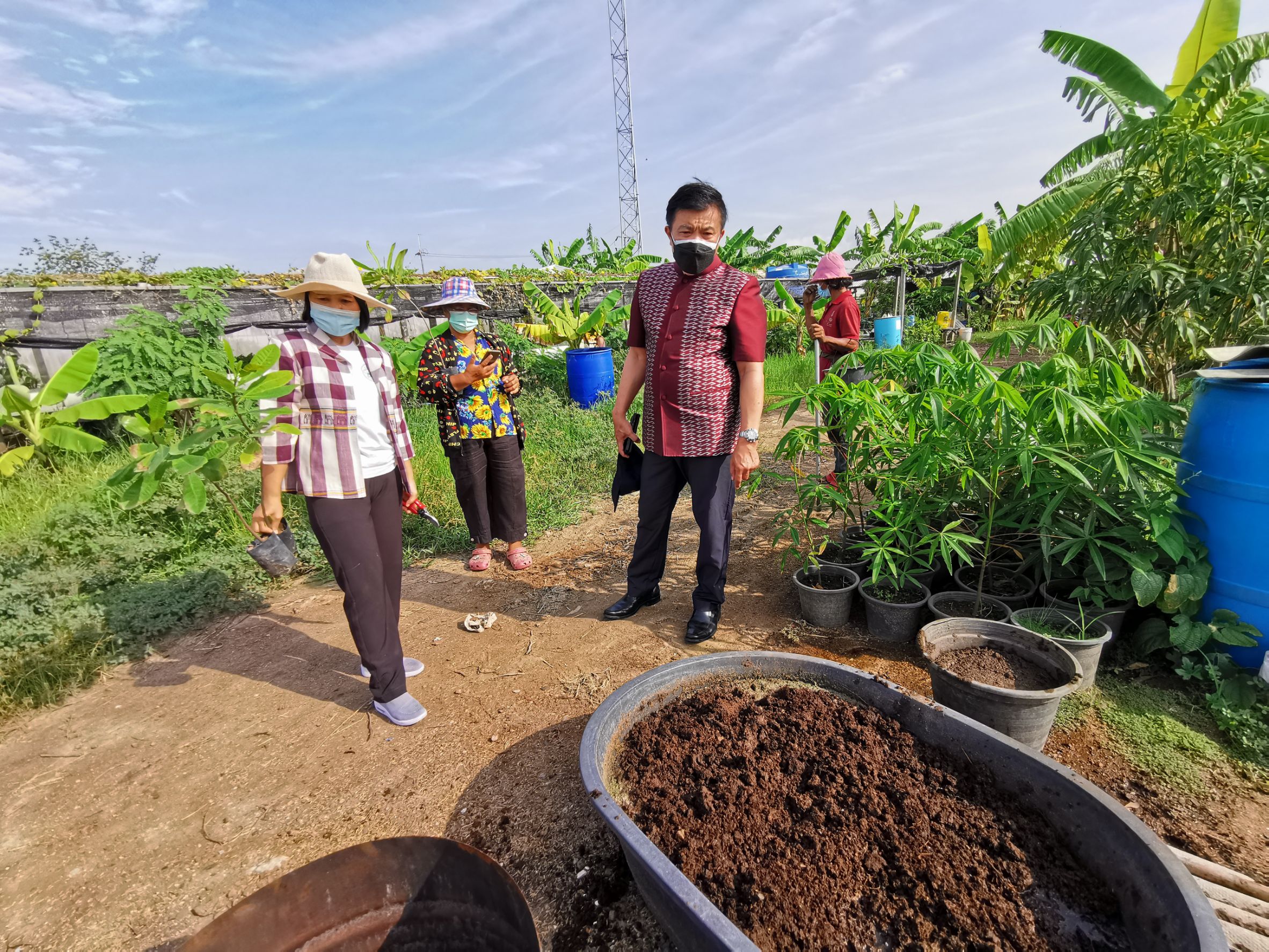พัฒนาชุมชนจังหวัดฉะเชิงเทรา Kick Off โครงการเฉลิมพระเกียรติเนื่องในวันเฉลิมพระชนมพรรษา  สมเด็จพระนางเจ้าสิริกิติ์ พระบรมราชินีนาถ พระบรมราชชนนีพันปีหลวง : กิจกรรม พช.แปดริ้วรวมใจ  ร่วมปลูกสมุนไพร ต้านภัยโควิด -19  ด้วยพืชสมุนไพร