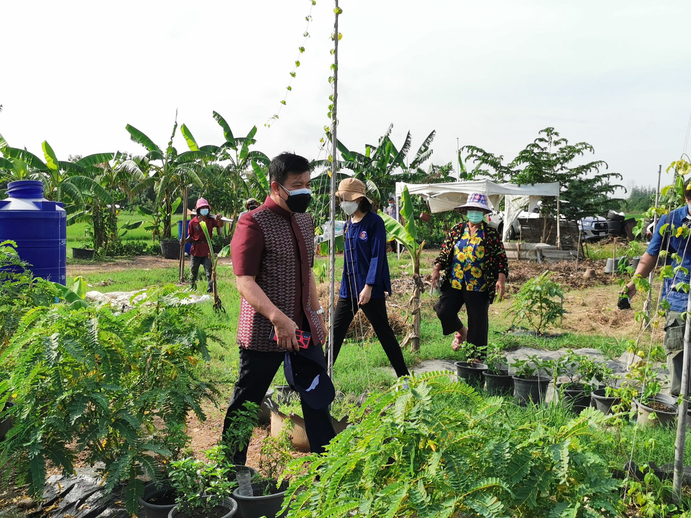 พัฒนาชุมชนจังหวัดฉะเชิงเทรา Kick Off โครงการเฉลิมพระเกียรติเนื่องในวันเฉลิมพระชนมพรรษา  สมเด็จพระนางเจ้าสิริกิติ์ พระบรมราชินีนาถ พระบรมราชชนนีพันปีหลวง : กิจกรรม พช.แปดริ้วรวมใจ  ร่วมปลูกสมุนไพร ต้านภัยโควิด -19  ด้วยพืชสมุนไพร
