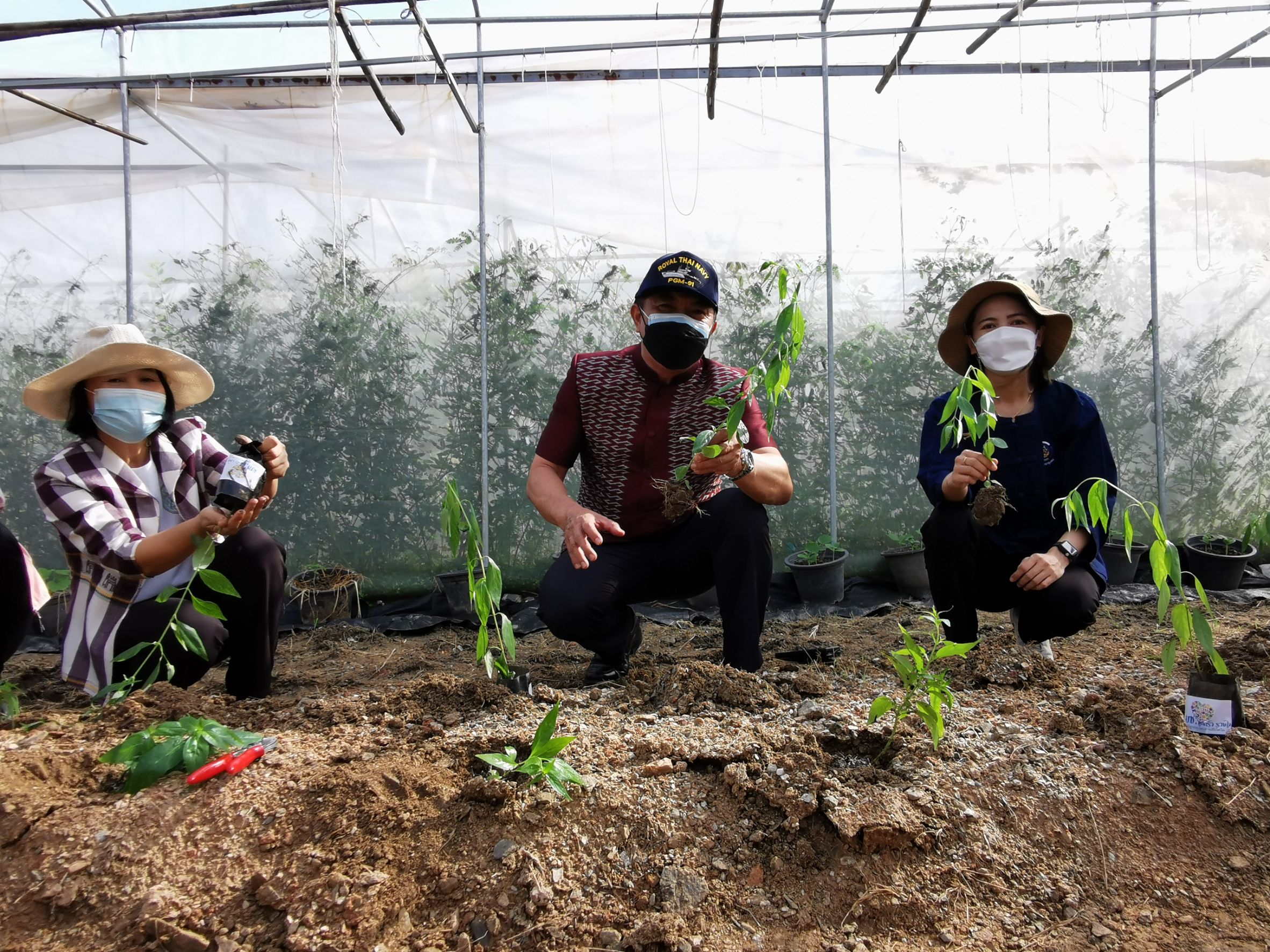 พัฒนาชุมชนจังหวัดฉะเชิงเทรา Kick Off โครงการเฉลิมพระเกียรติเนื่องในวันเฉลิมพระชนมพรรษา  สมเด็จพระนางเจ้าสิริกิติ์ พระบรมราชินีนาถ พระบรมราชชนนีพันปีหลวง : กิจกรรม พช.แปดริ้วรวมใจ  ร่วมปลูกสมุนไพร ต้านภัยโควิด -19  ด้วยพืชสมุนไพร