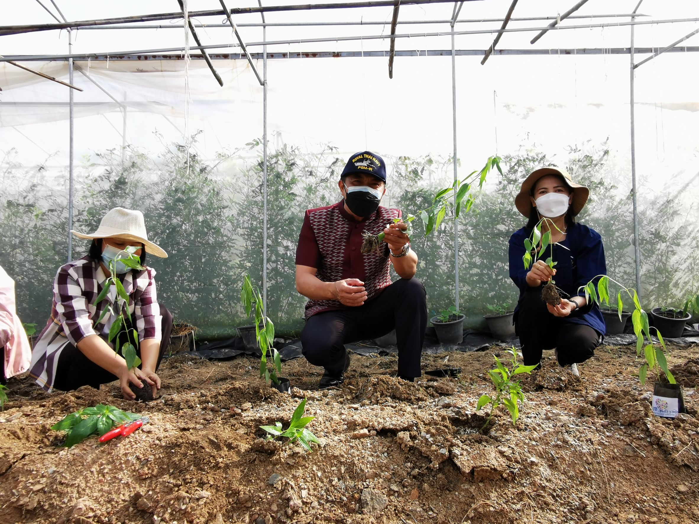 พัฒนาชุมชนจังหวัดฉะเชิงเทรา Kick Off โครงการเฉลิมพระเกียรติเนื่องในวันเฉลิมพระชนมพรรษา  สมเด็จพระนางเจ้าสิริกิติ์ พระบรมราชินีนาถ พระบรมราชชนนีพันปีหลวง : กิจกรรม พช.แปดริ้วรวมใจ  ร่วมปลูกสมุนไพร ต้านภัยโควิด -19  ด้วยพืชสมุนไพร