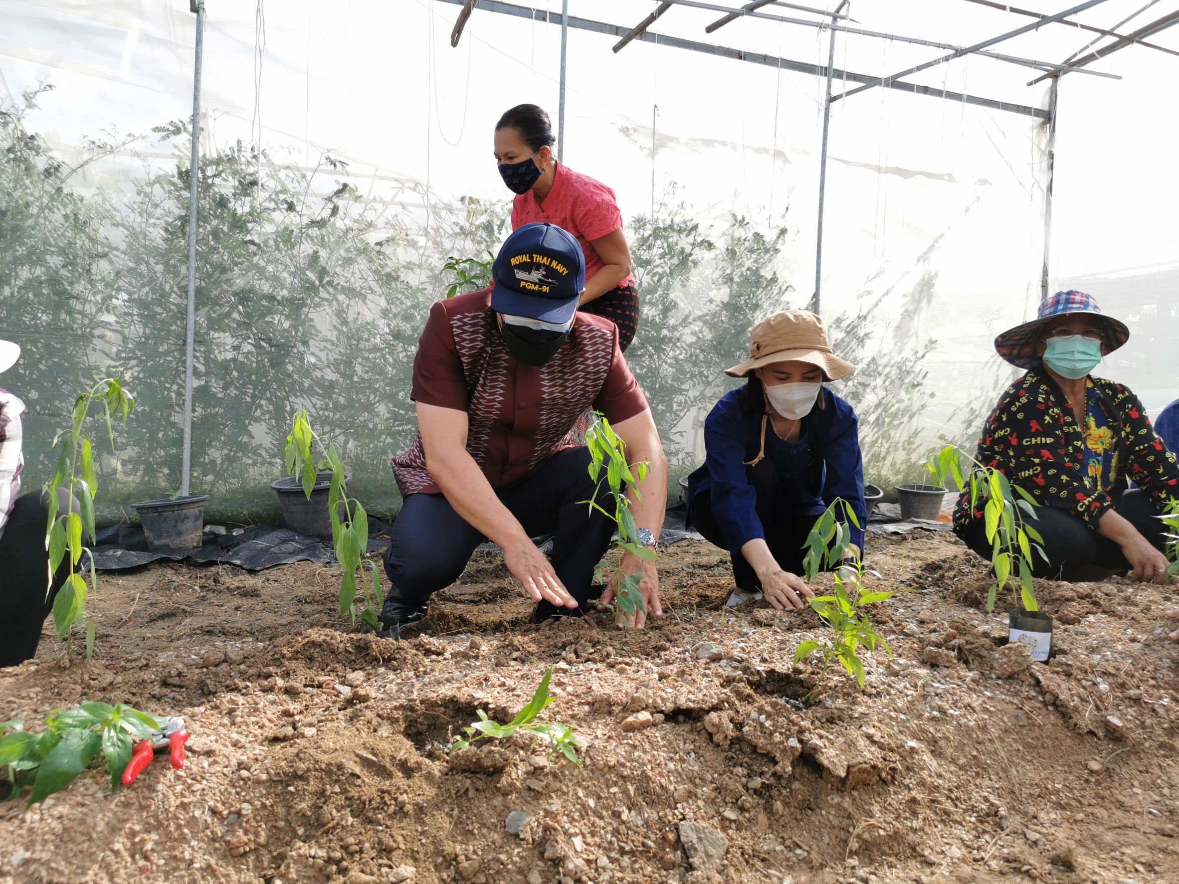 พัฒนาชุมชนจังหวัดฉะเชิงเทรา Kick Off โครงการเฉลิมพระเกียรติเนื่องในวันเฉลิมพระชนมพรรษา  สมเด็จพระนางเจ้าสิริกิติ์ พระบรมราชินีนาถ พระบรมราชชนนีพันปีหลวง : กิจกรรม พช.แปดริ้วรวมใจ  ร่วมปลูกสมุนไพร ต้านภัยโควิด -19  ด้วยพืชสมุนไพร