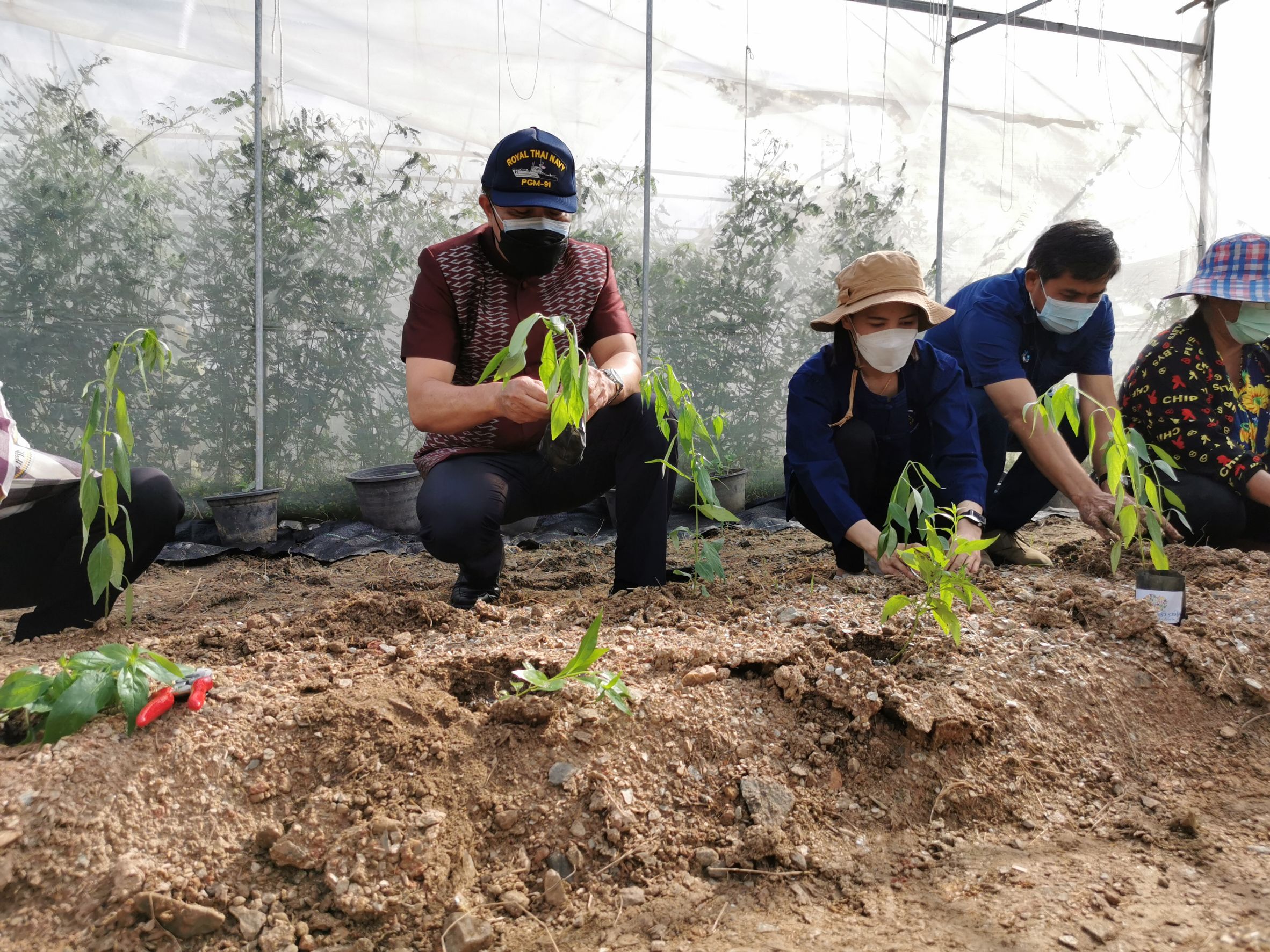 พัฒนาชุมชนจังหวัดฉะเชิงเทรา Kick Off โครงการเฉลิมพระเกียรติเนื่องในวันเฉลิมพระชนมพรรษา  สมเด็จพระนางเจ้าสิริกิติ์ พระบรมราชินีนาถ พระบรมราชชนนีพันปีหลวง : กิจกรรม พช.แปดริ้วรวมใจ  ร่วมปลูกสมุนไพร ต้านภัยโควิด -19  ด้วยพืชสมุนไพร