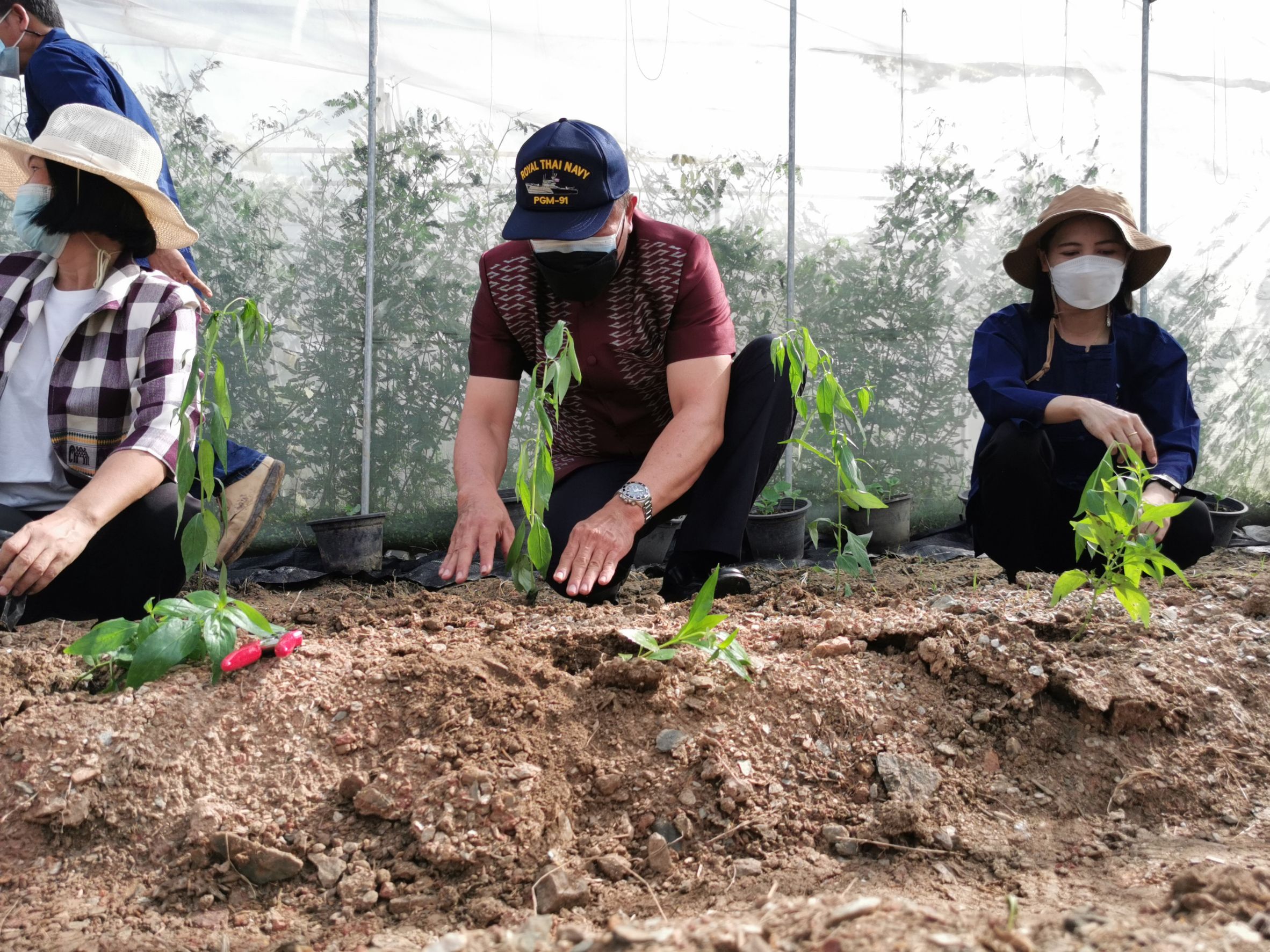 พัฒนาชุมชนจังหวัดฉะเชิงเทรา Kick Off โครงการเฉลิมพระเกียรติเนื่องในวันเฉลิมพระชนมพรรษา  สมเด็จพระนางเจ้าสิริกิติ์ พระบรมราชินีนาถ พระบรมราชชนนีพันปีหลวง : กิจกรรม พช.แปดริ้วรวมใจ  ร่วมปลูกสมุนไพร ต้านภัยโควิด -19  ด้วยพืชสมุนไพร
